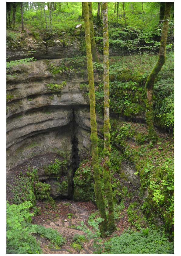 Dépression fermée de forme circulaire ou elliptique, de taille variable (métrique à décamétrique) et dont la profondeur est inférieur au diamètre.

Photo prise sur le sentier karstique de Merey-sous-Montrond (V. Fister).