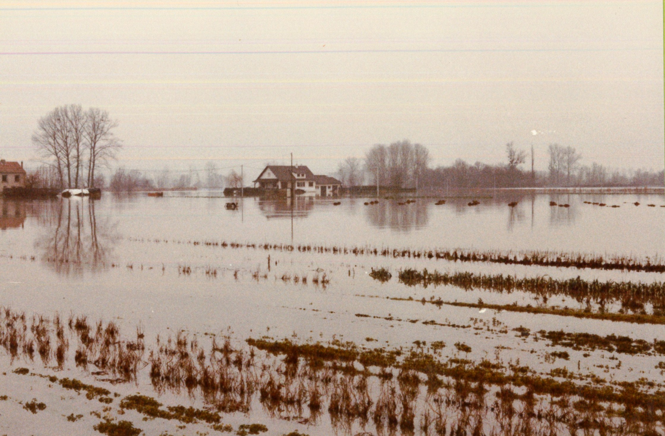 Crue de la Saône en 1981 à Feillens