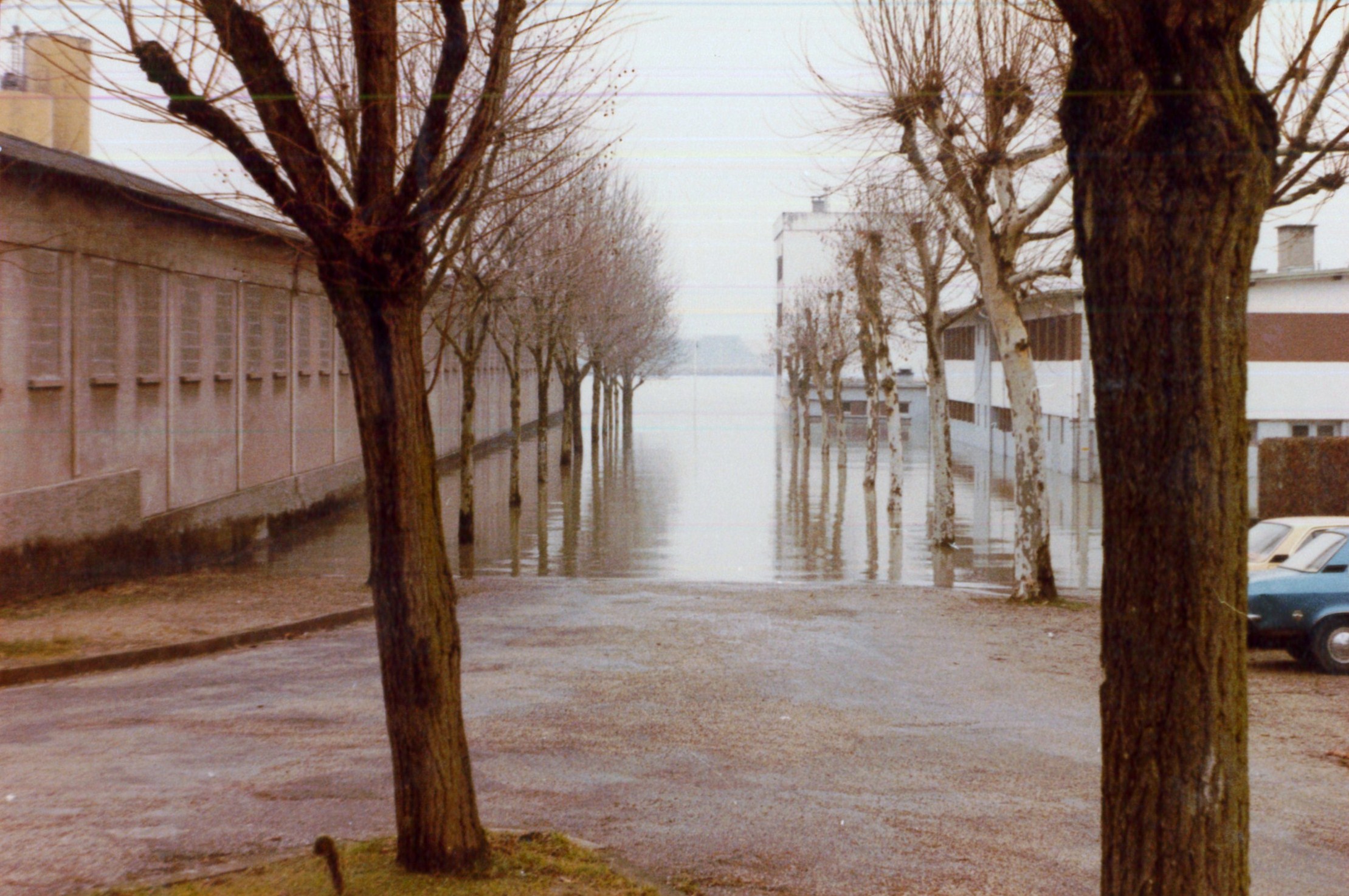 Crue de la Saône en 1981 à Jassans-Riottier