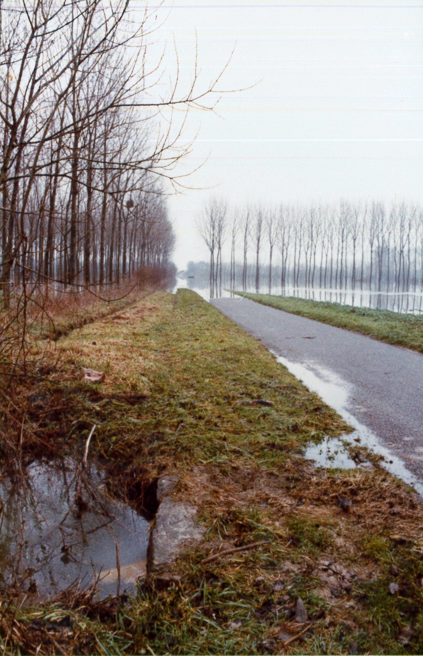 Crue de la Saône en 1981 à Uchizy