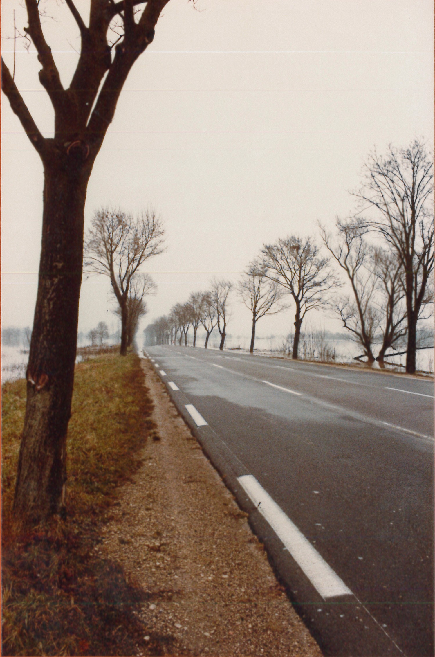 Crue de la Saône en 1981 à Fleurville