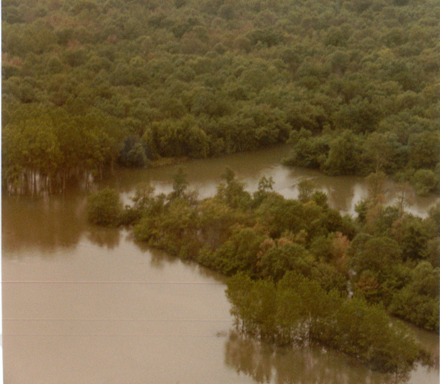 Crue de la Saône en 1983 à Gigny-sur-Saône