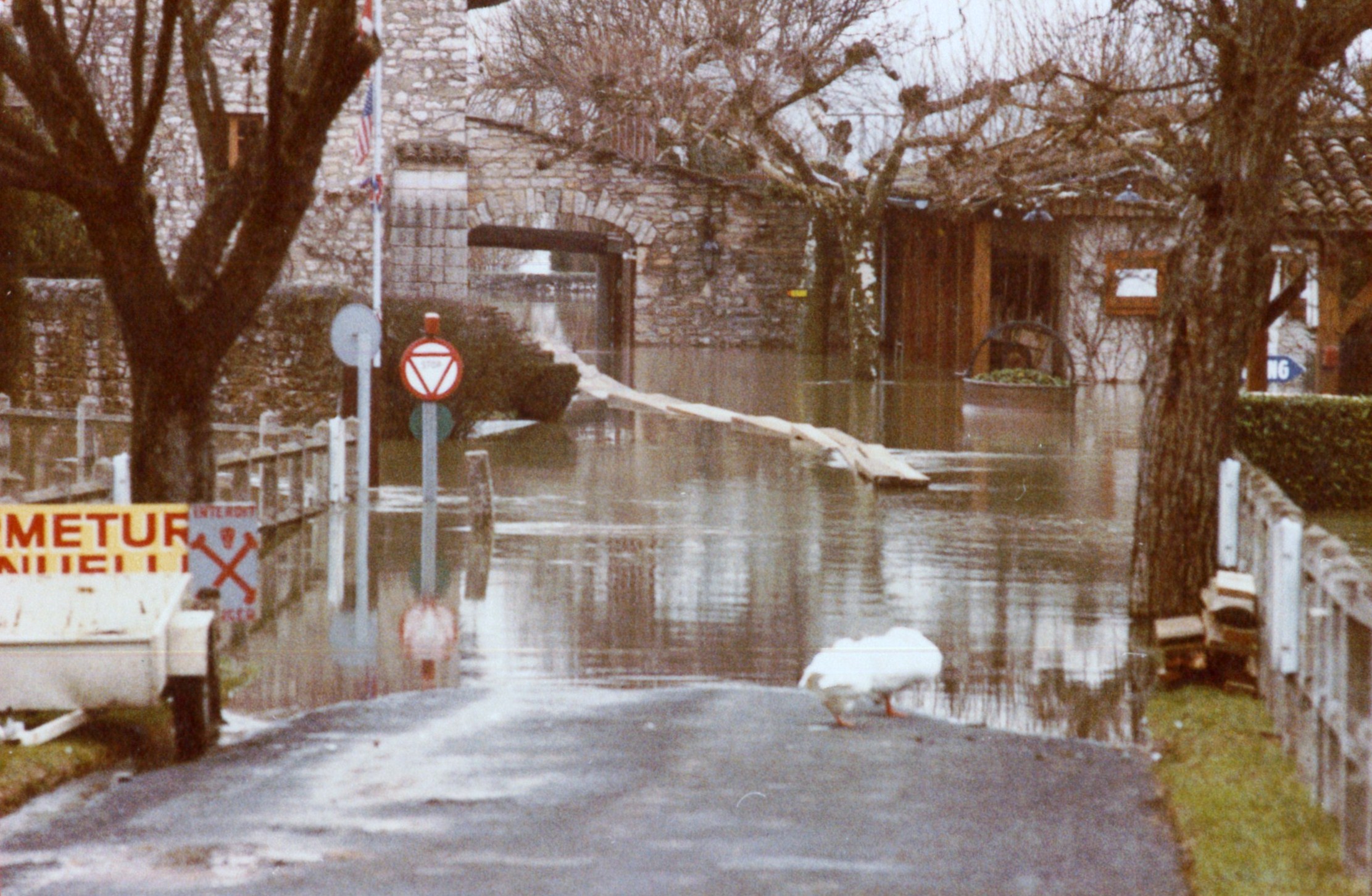 Crue de la Saône en 1981 à Sancé