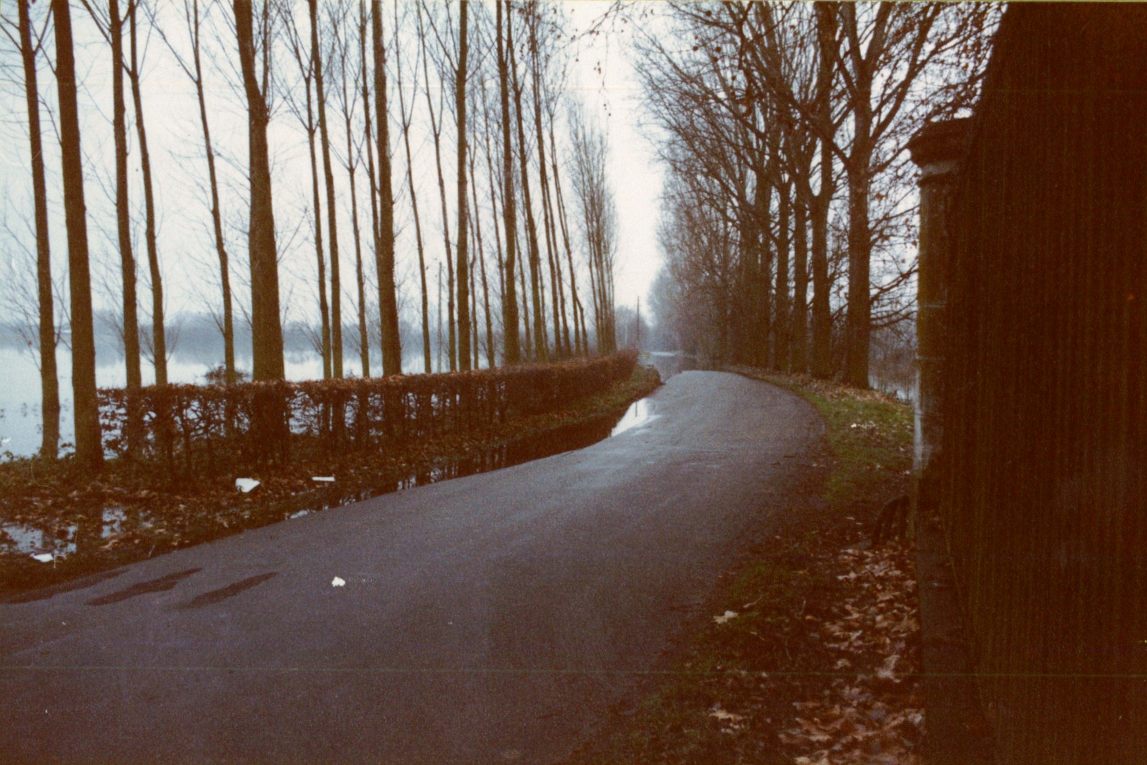 Crue de la Saône en 1981 à St Symphorien-d’Ancelles