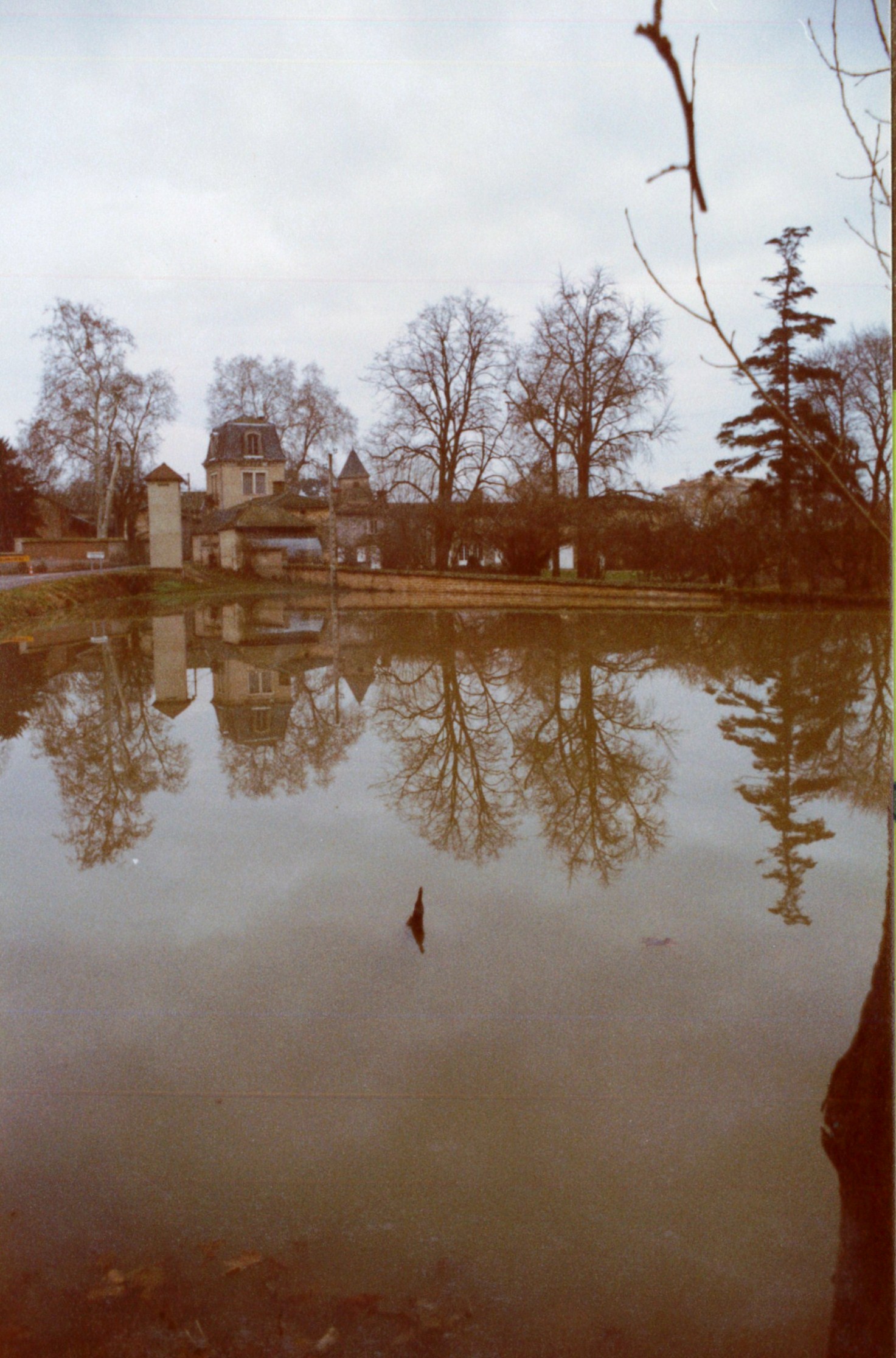 Crue de la Saône en 1981 à St Symphorien-d’Ancelles