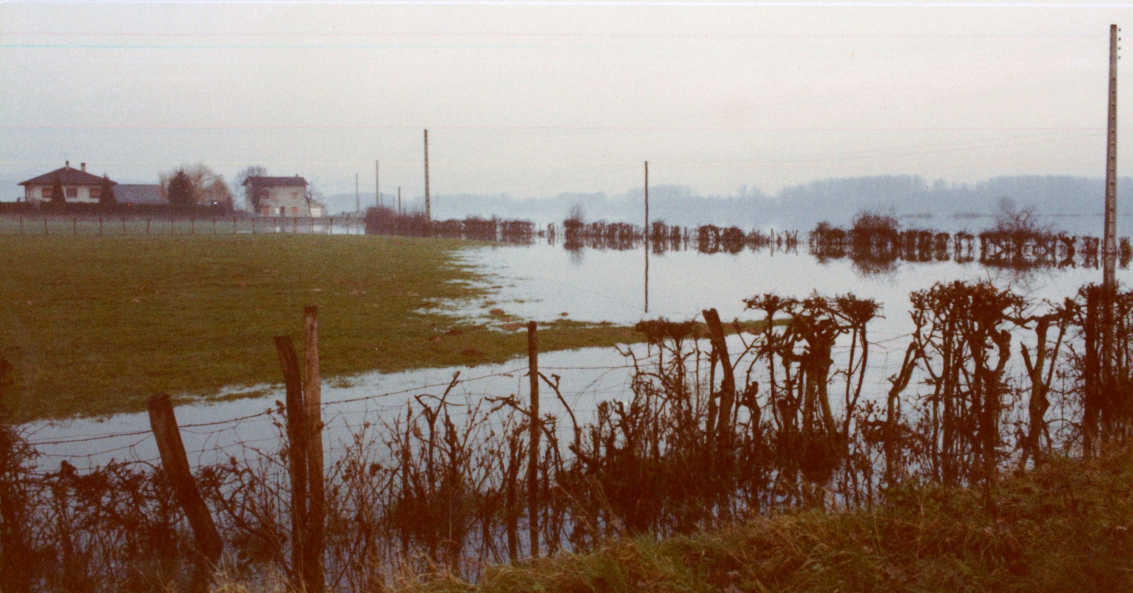 Crue de la Saône en 1981 à Quincieux