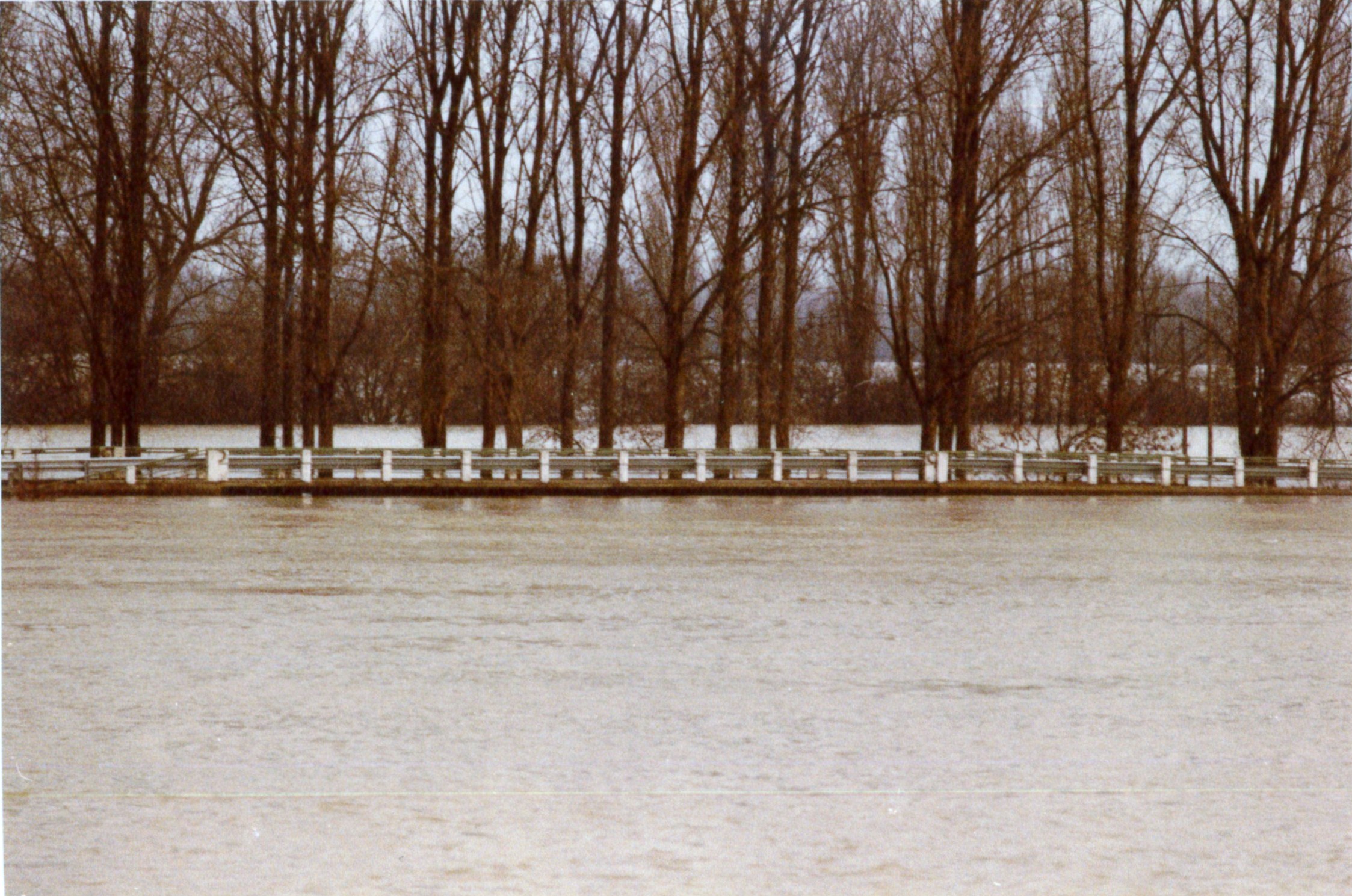 Crue de la Saône en 1981 à Grièges