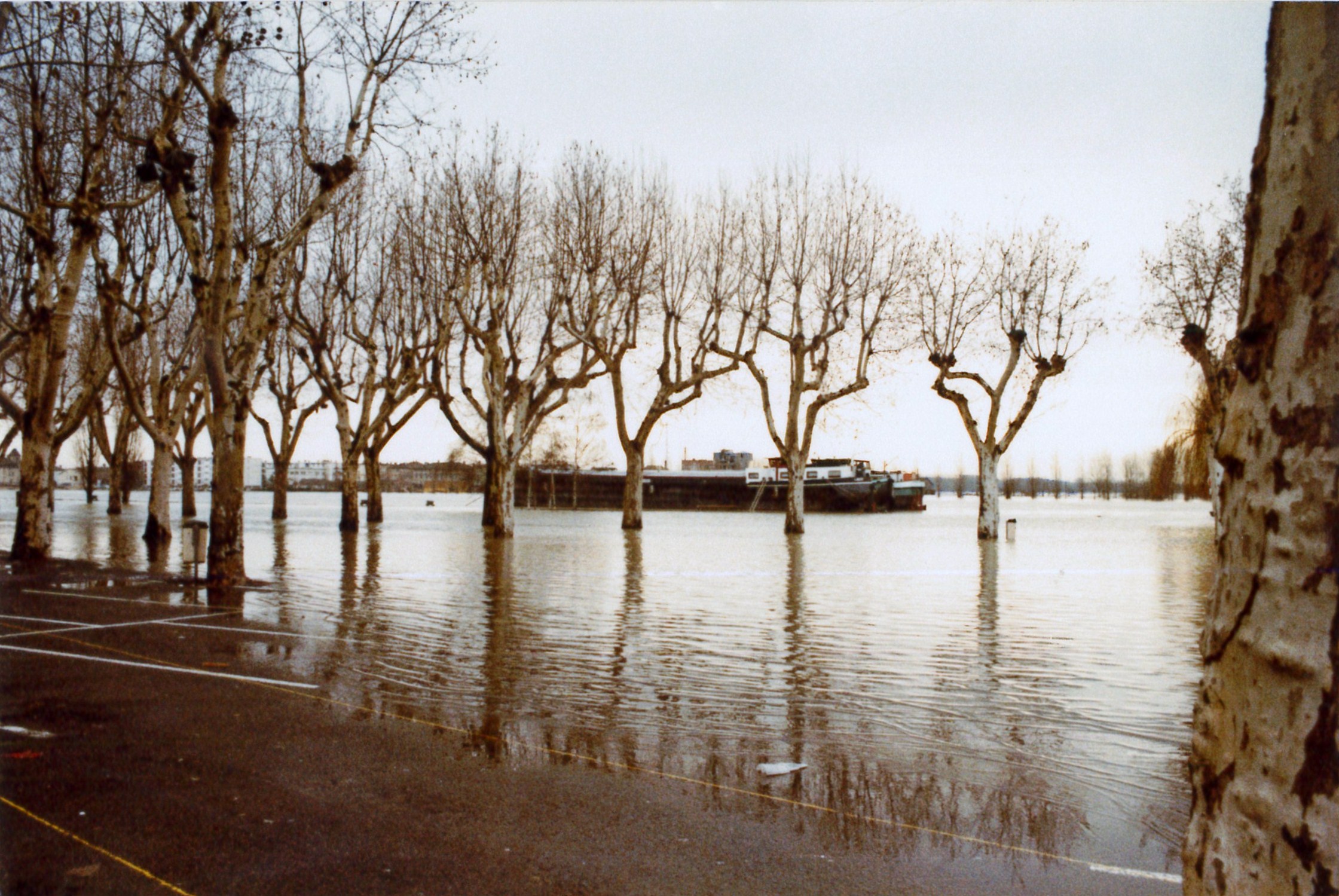 Crue de la Saône en 1981 à Mâcon