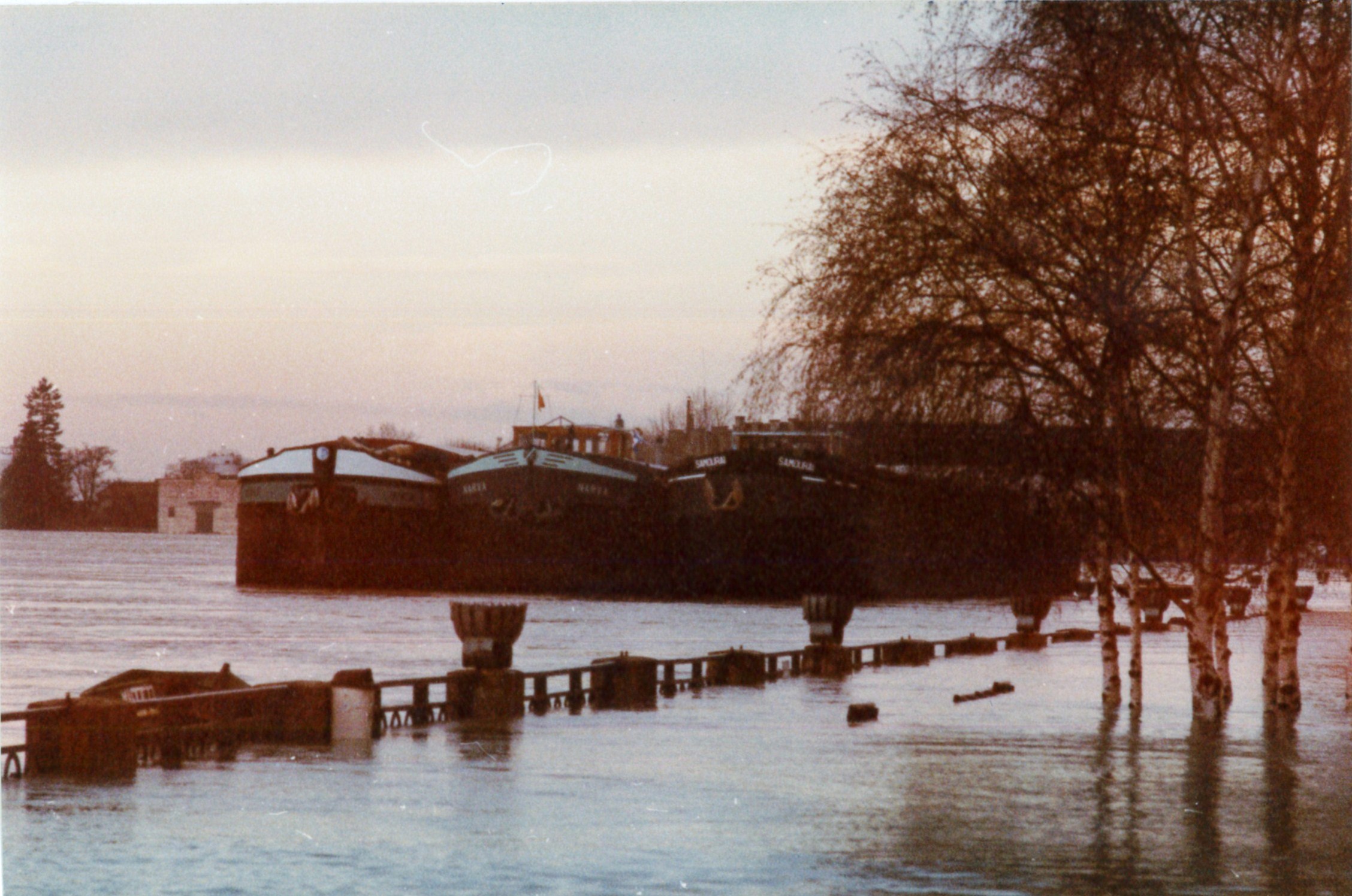 Crue de la Saône en 1981 à Mâcon