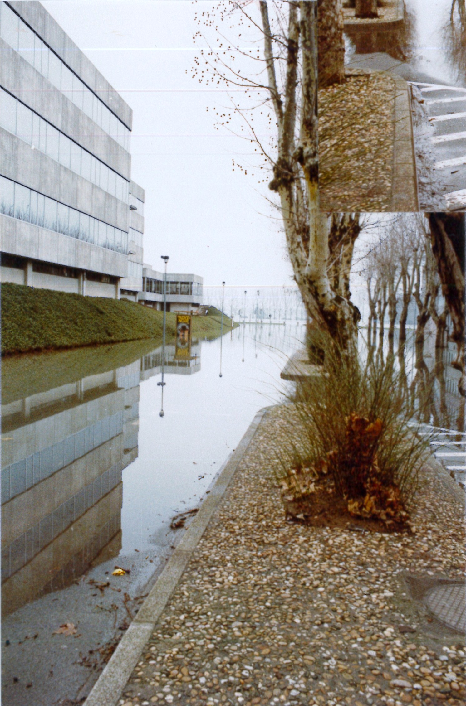 Crue de la Saône en 1981 à Mâcon