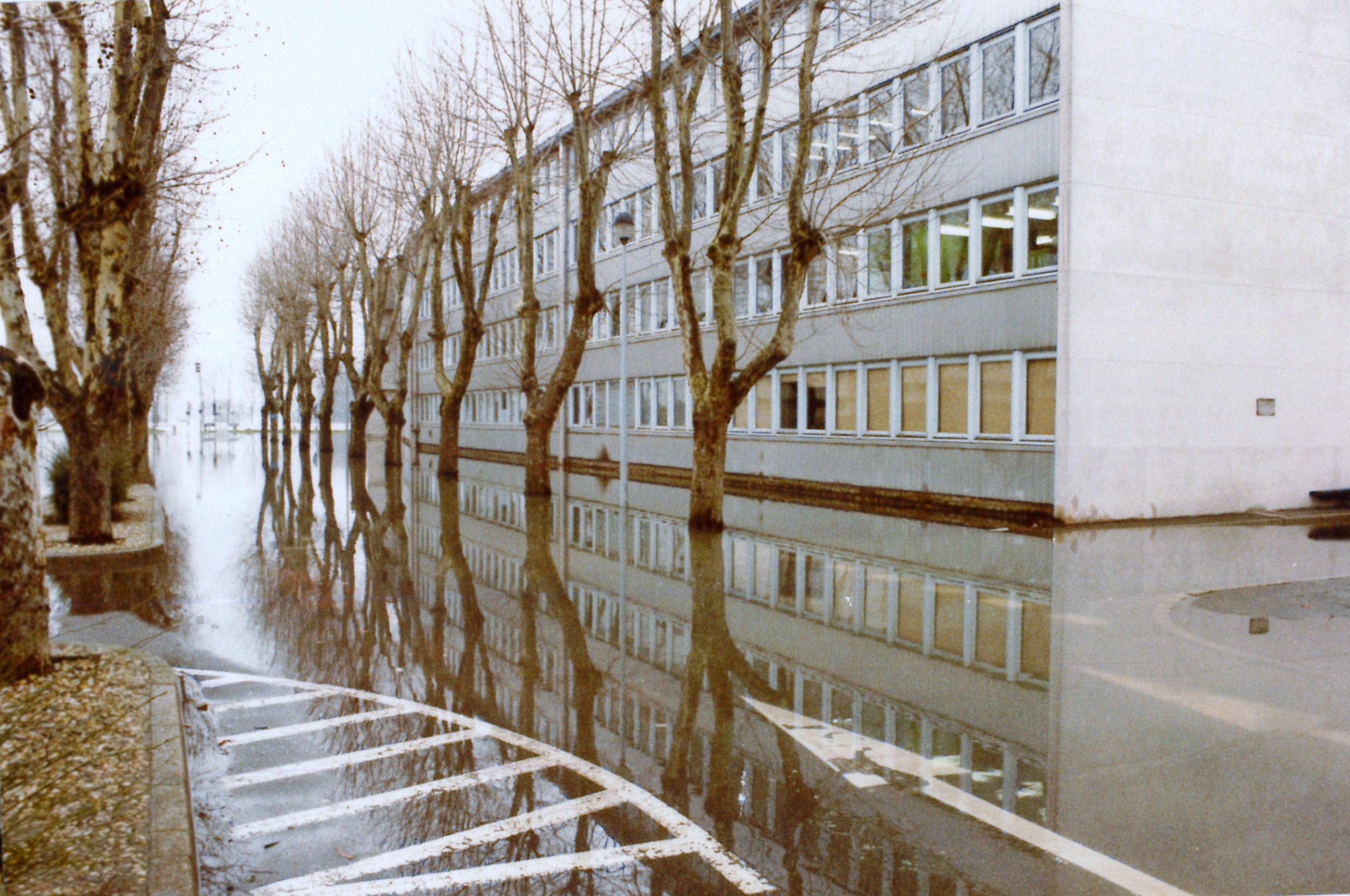 Crue de la Saône en 1981 à Mâcon