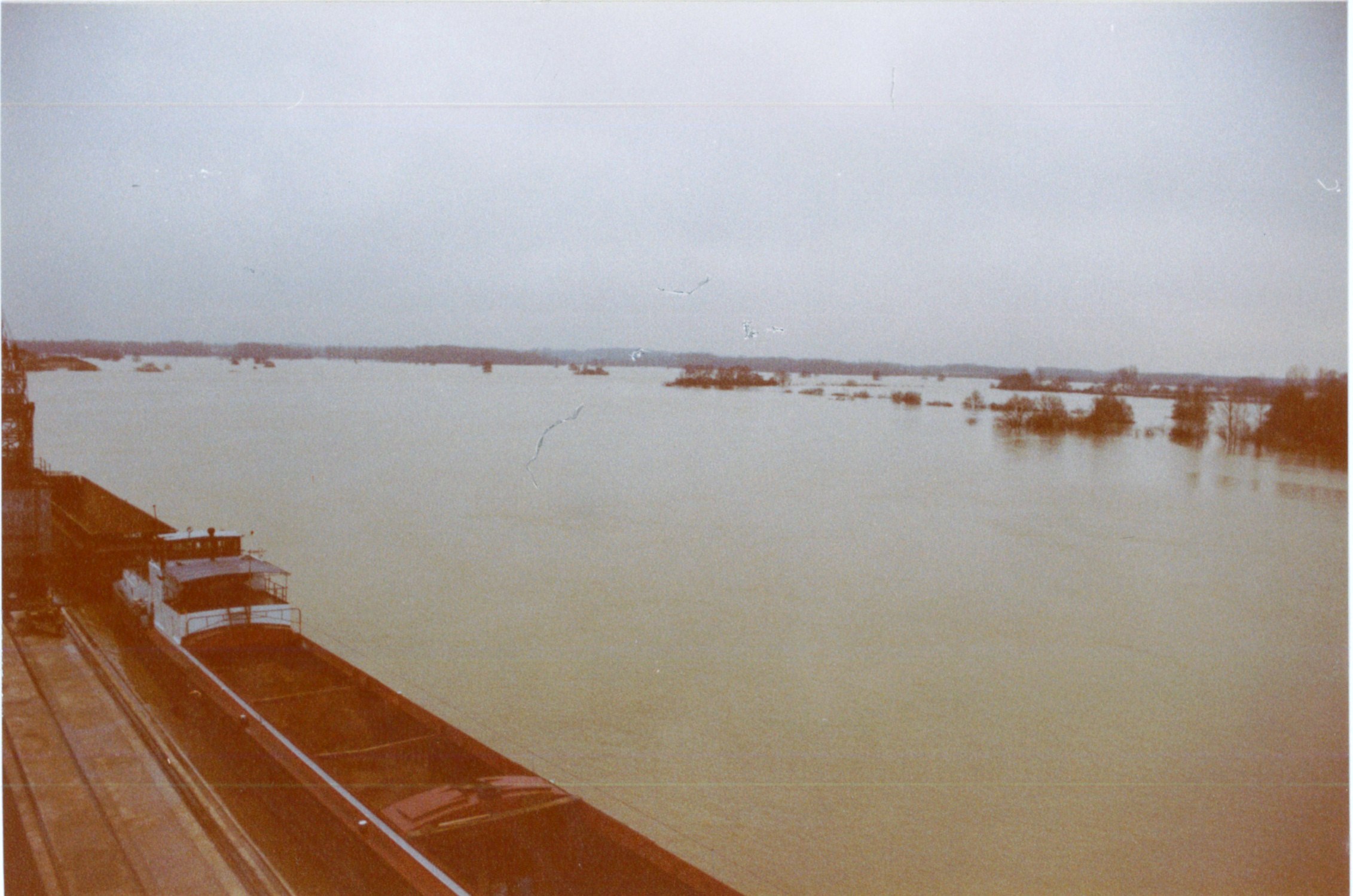 Crue de la Saône en 1981 à Mâcon