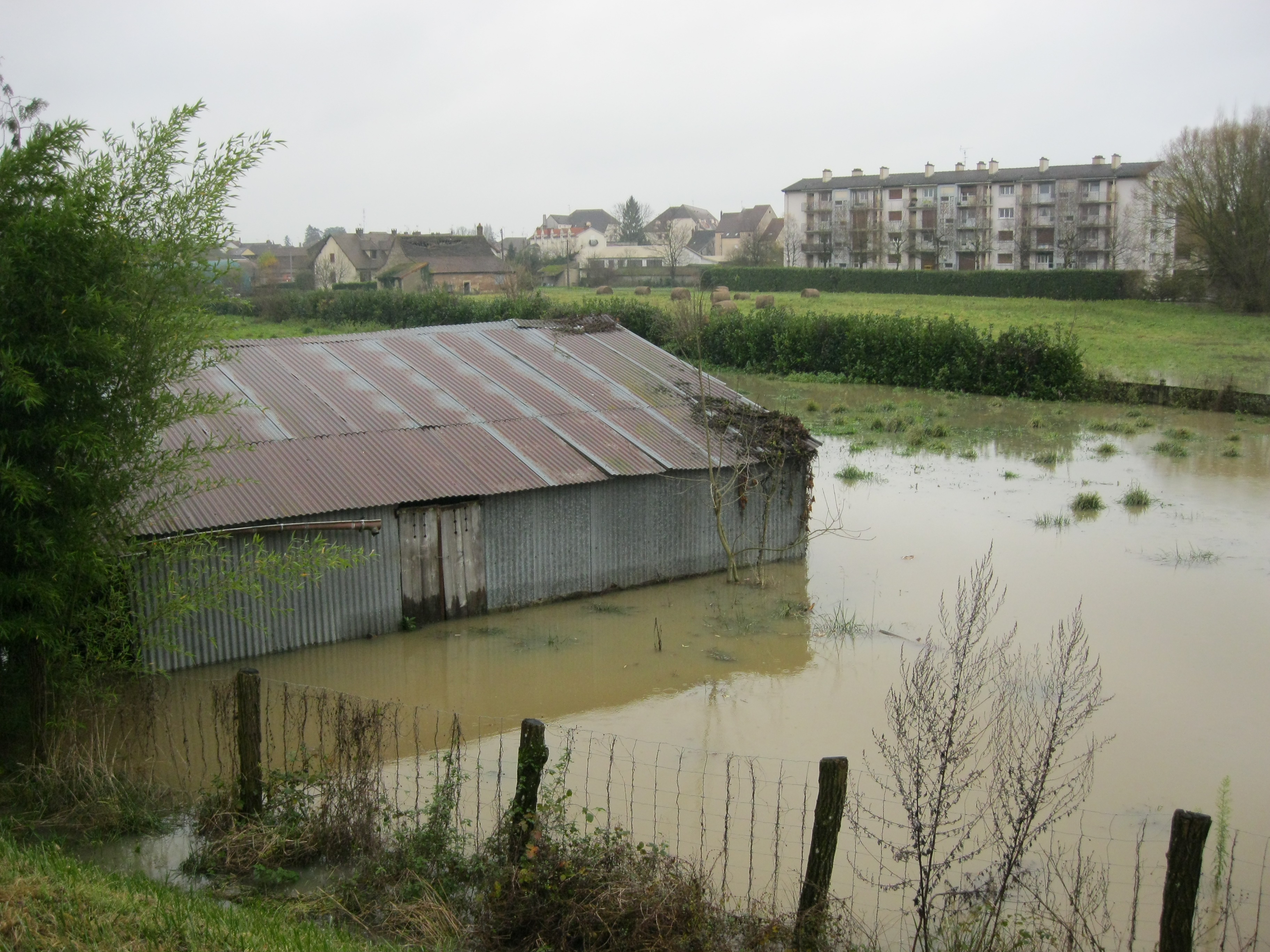 Crue de la Seille en 2012 à Louhans