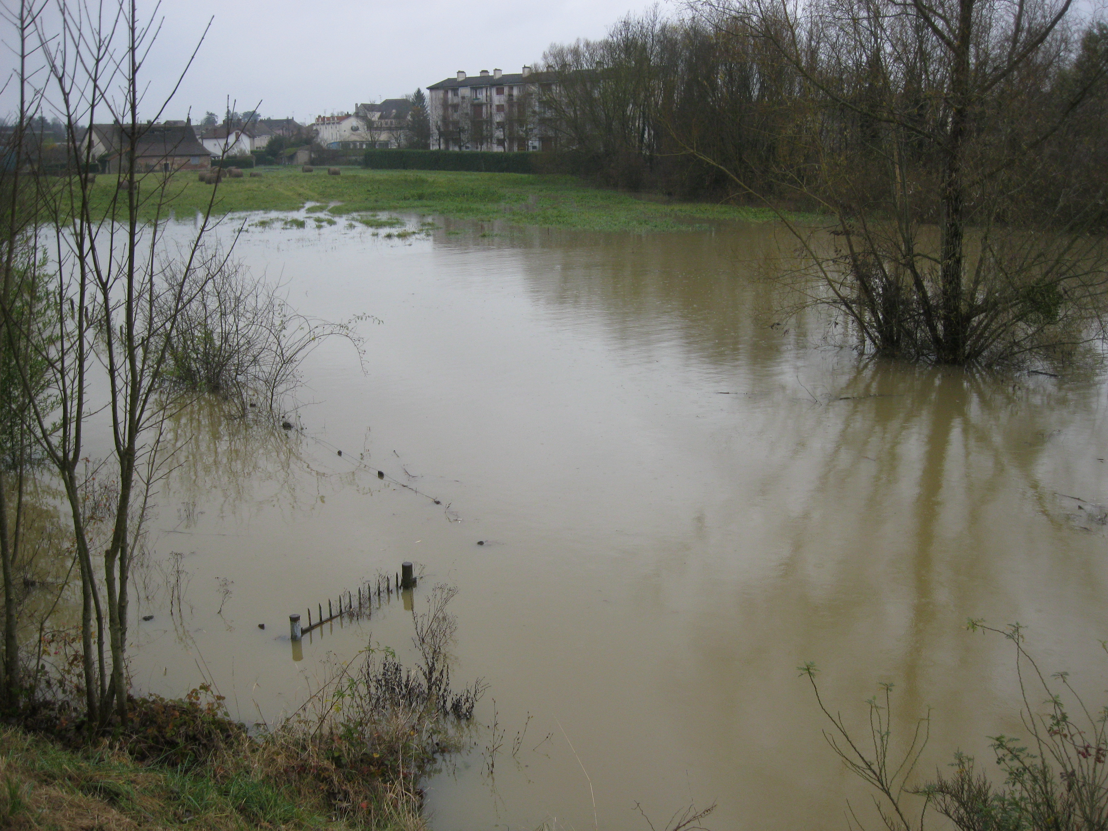 Crue de la Seille en 2012 à Louhans