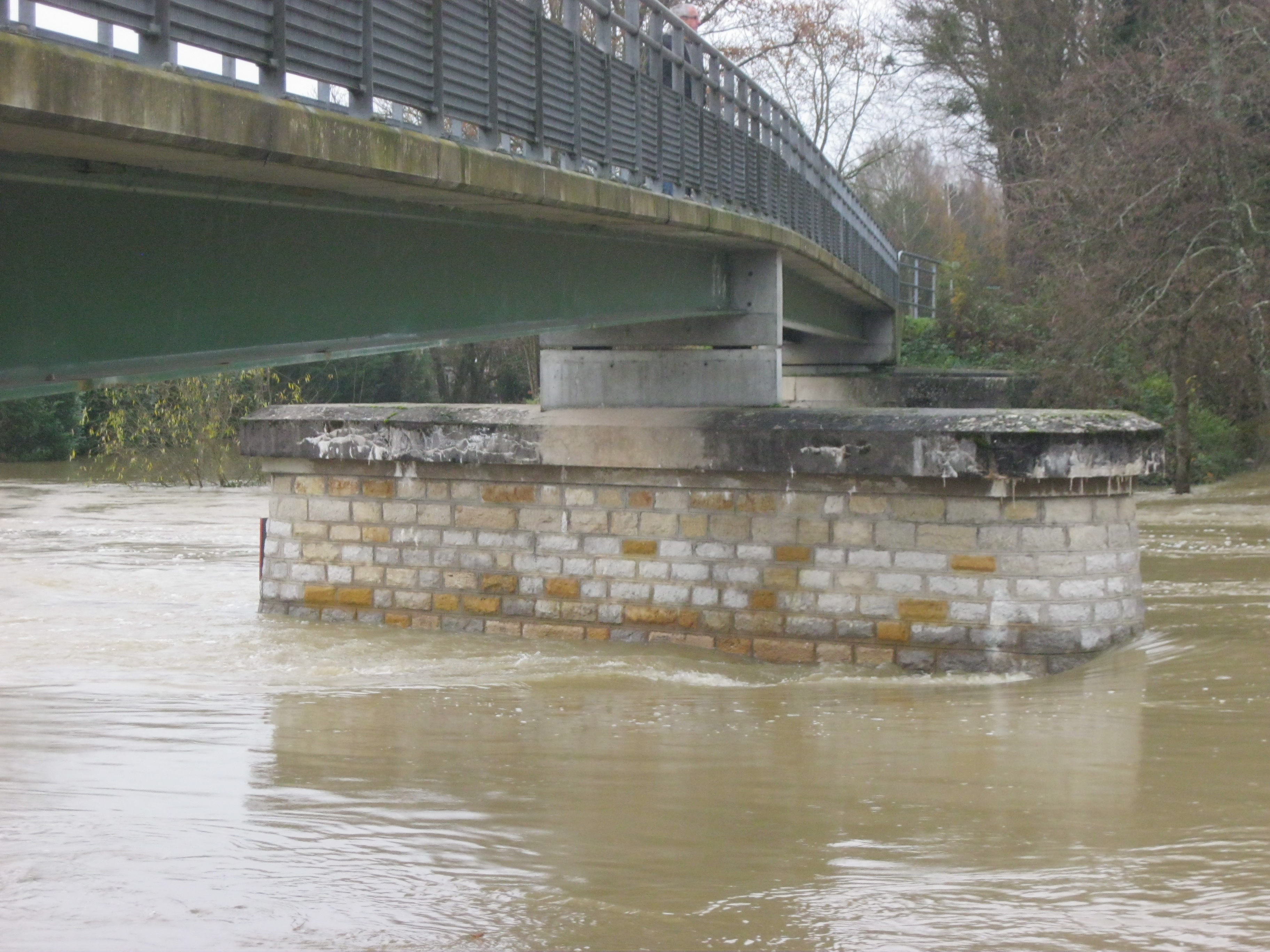 Crue de la Seille en 2012 à Louhans