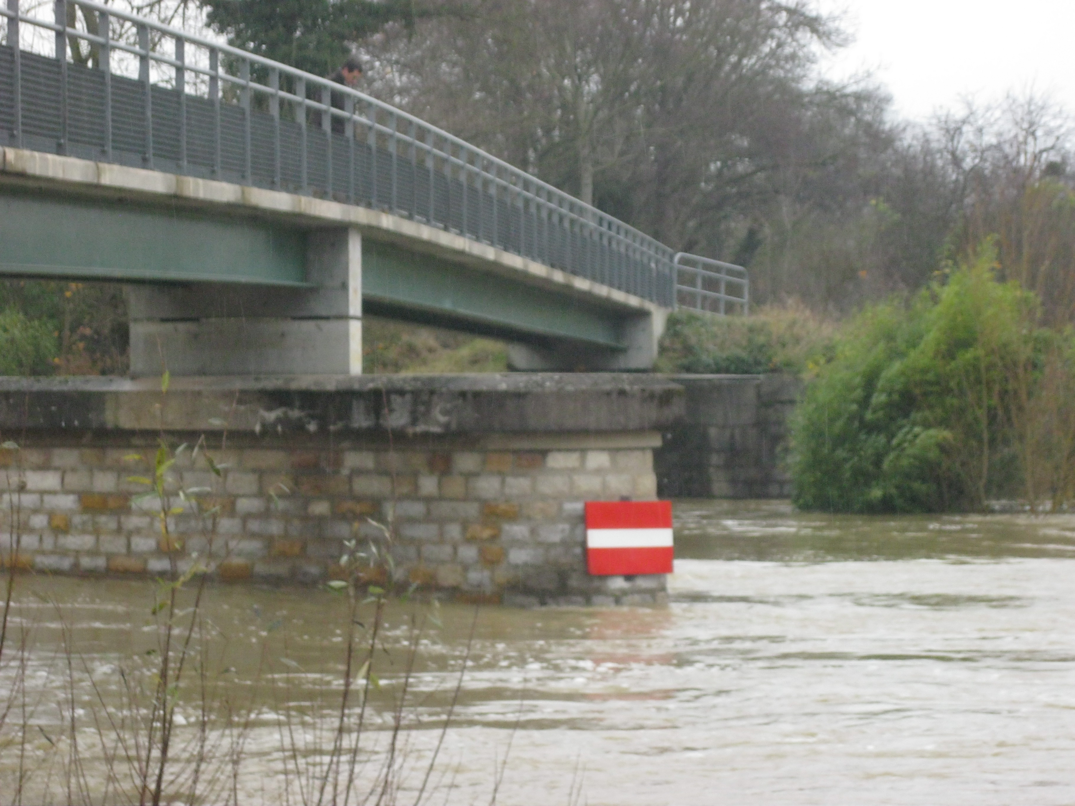 Crue de la Seille en 2012 à Louhans