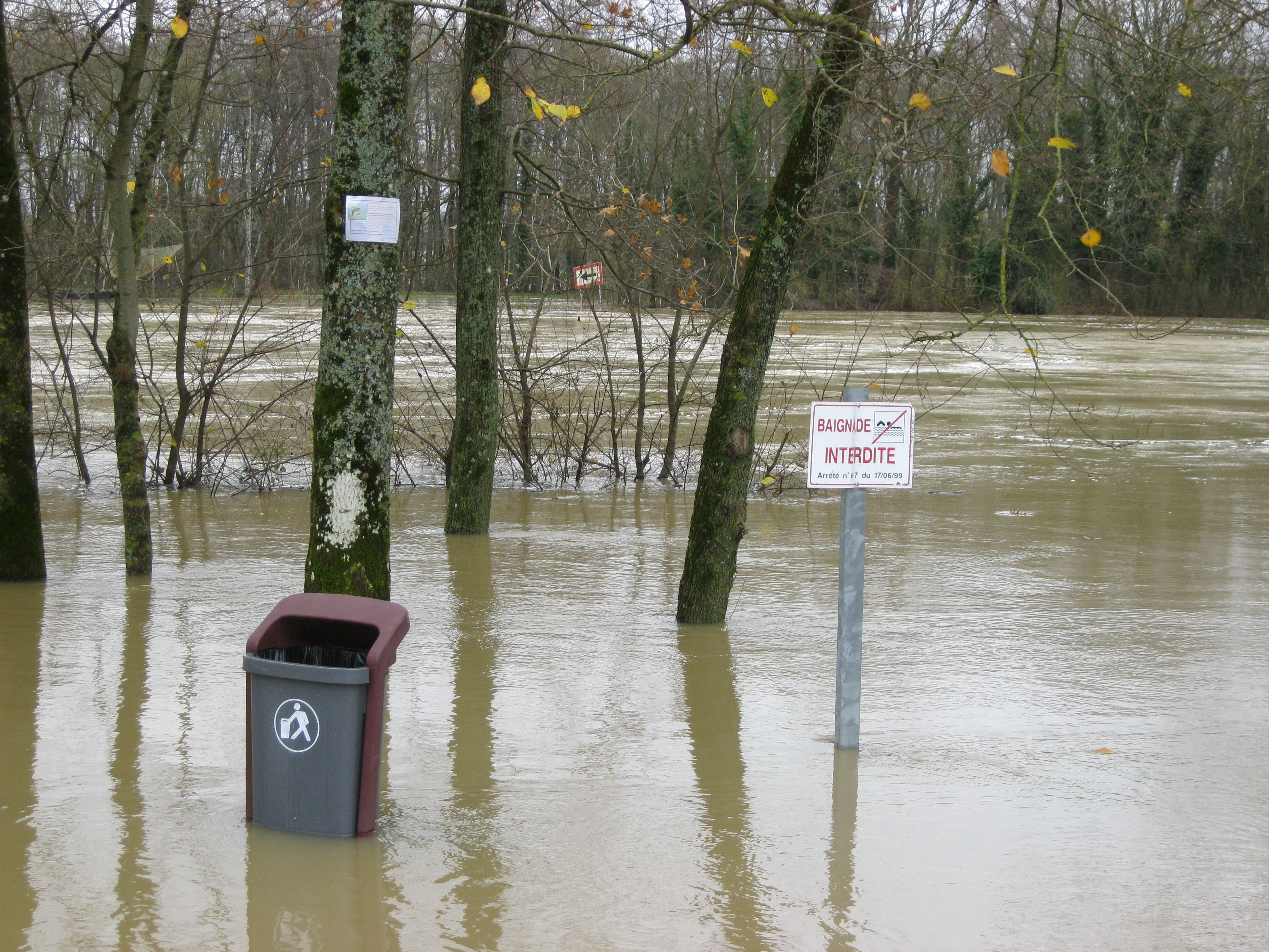 Crue de la Seille en 2012 à Cuisery