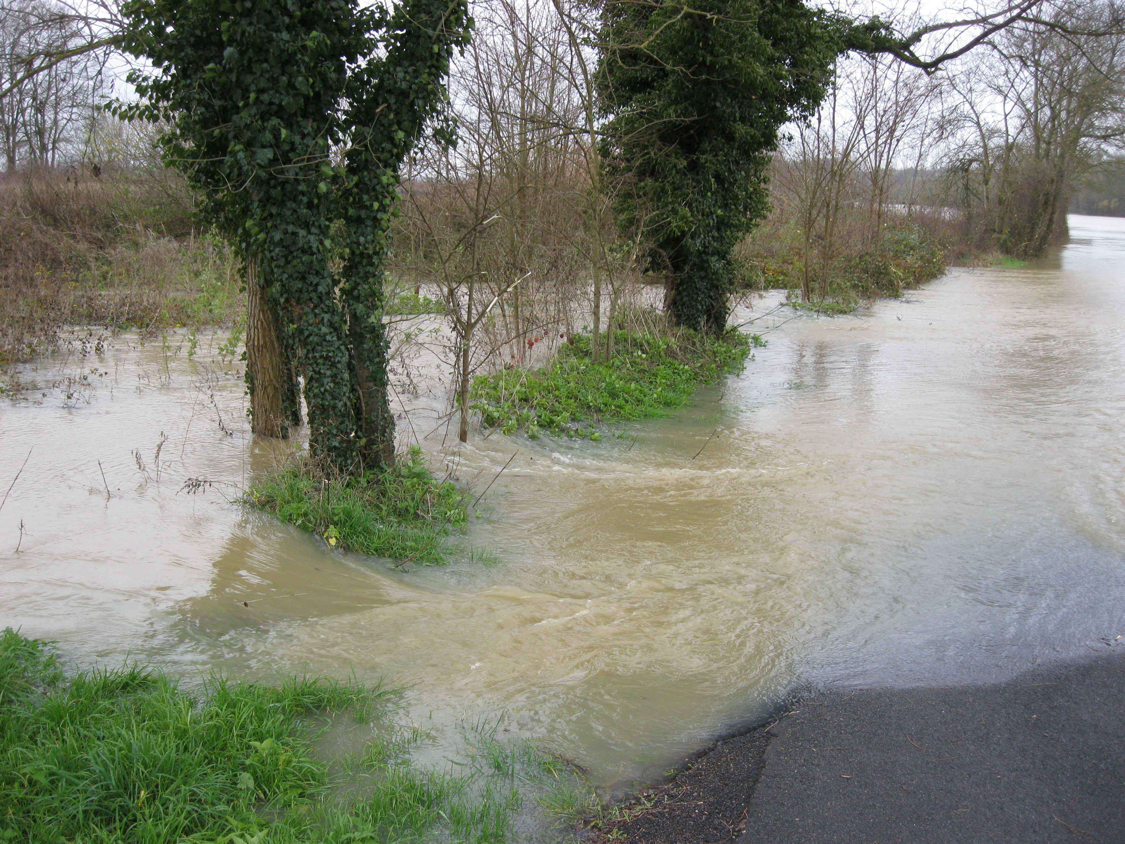 Crue de la Seille en 2012 à Brienne