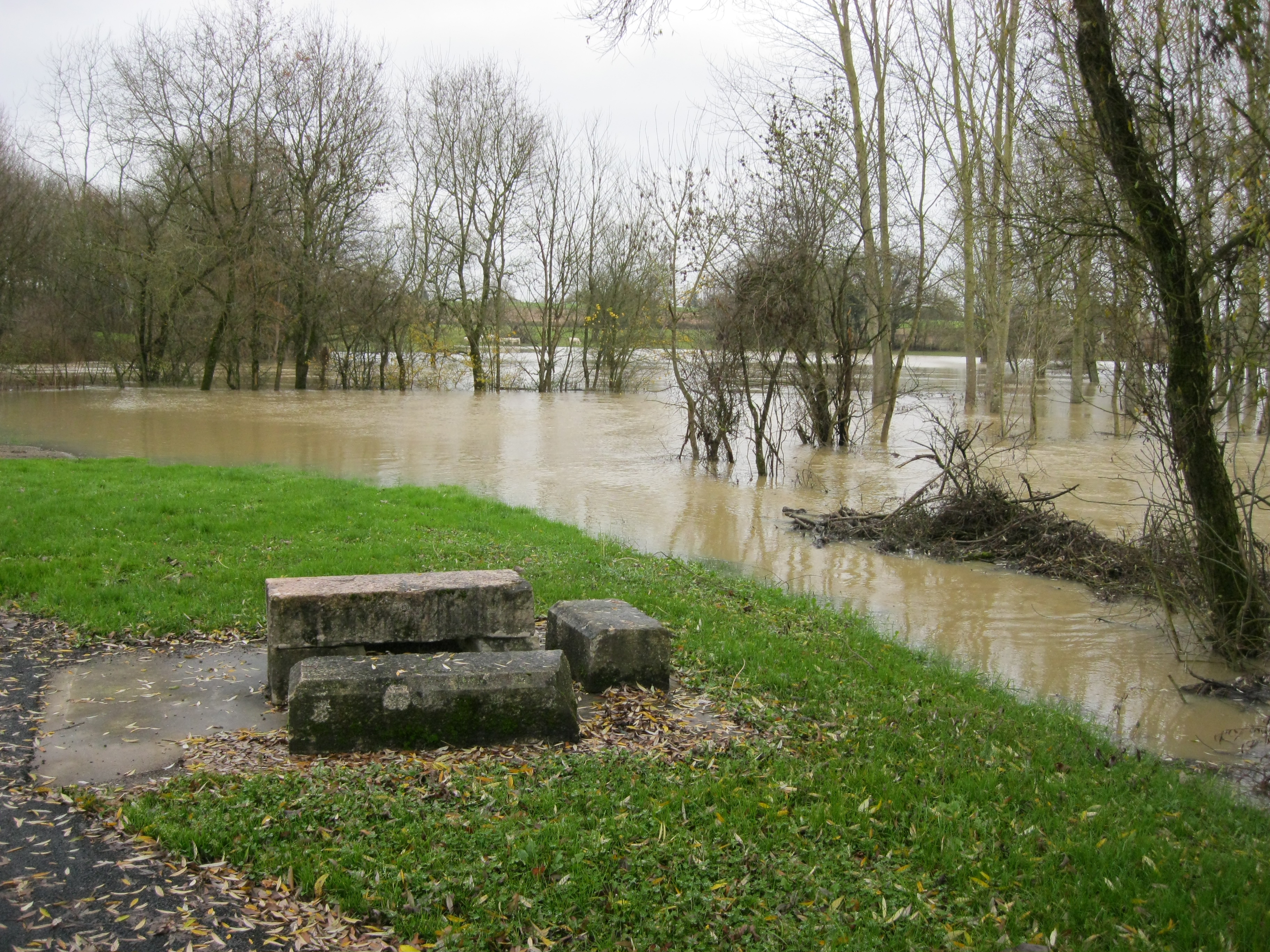 Crue de la Sâne en 2012 à Brienne