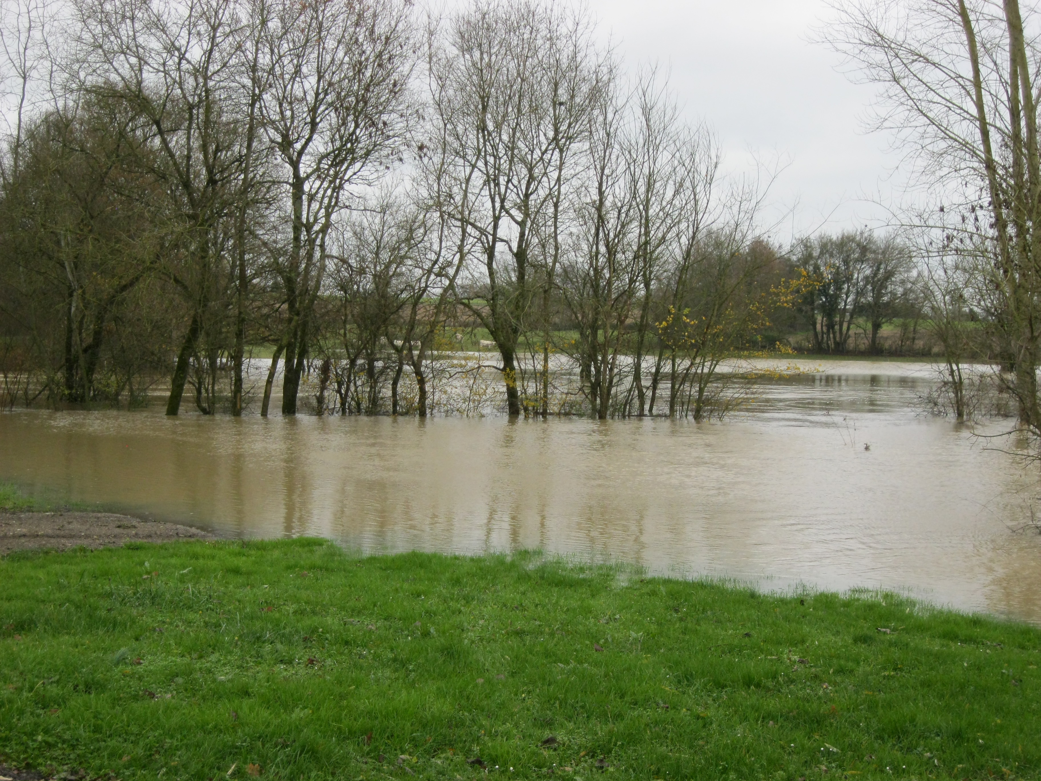 Crue de la Sâne en 2012 à Brienne