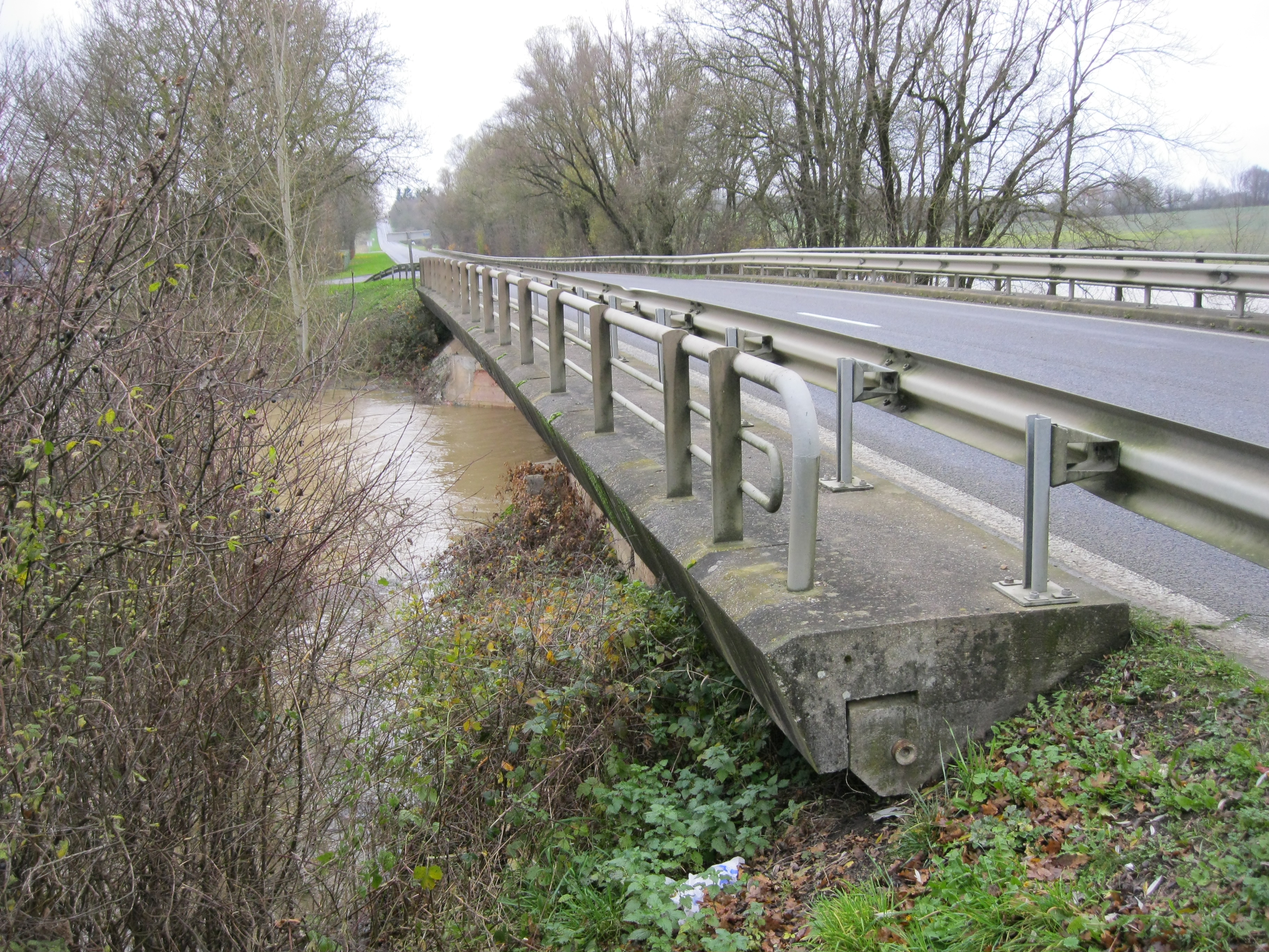 Crue de la Sâne en 2012 à Brienne