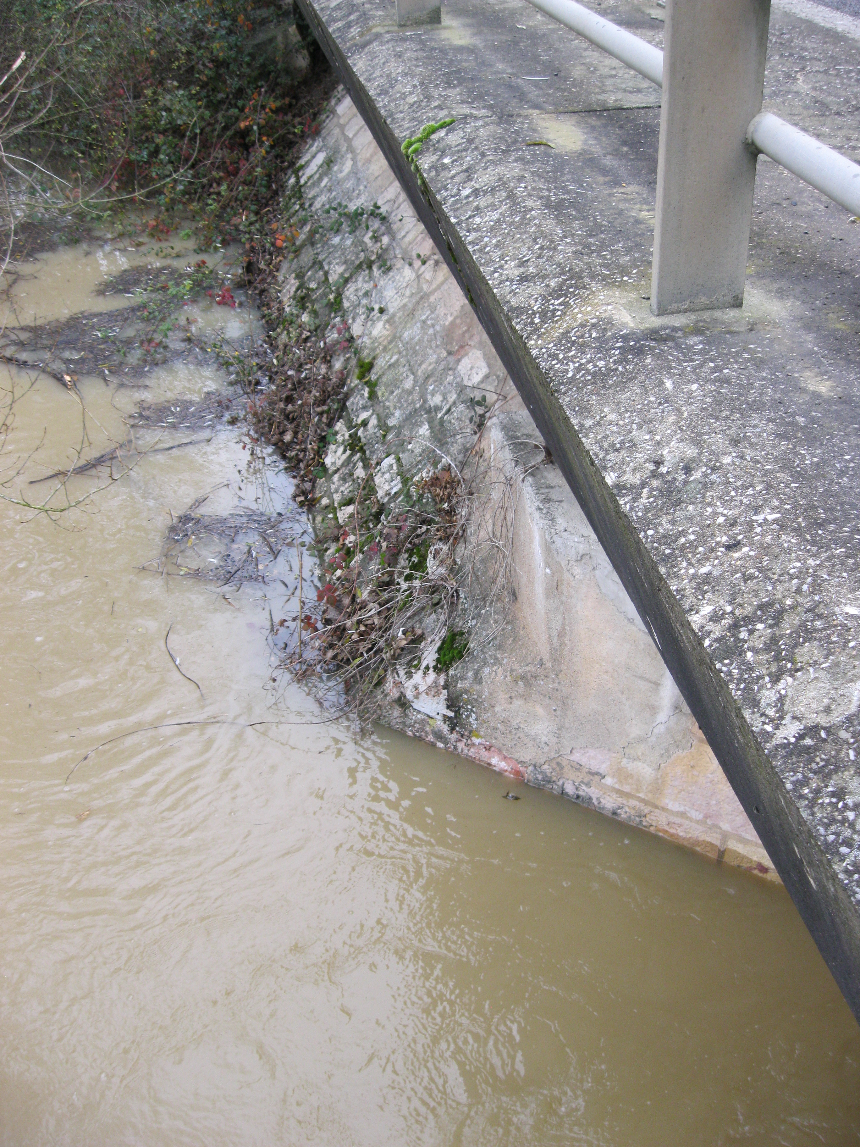 Crue de la Sâne en 2012 à Brienne