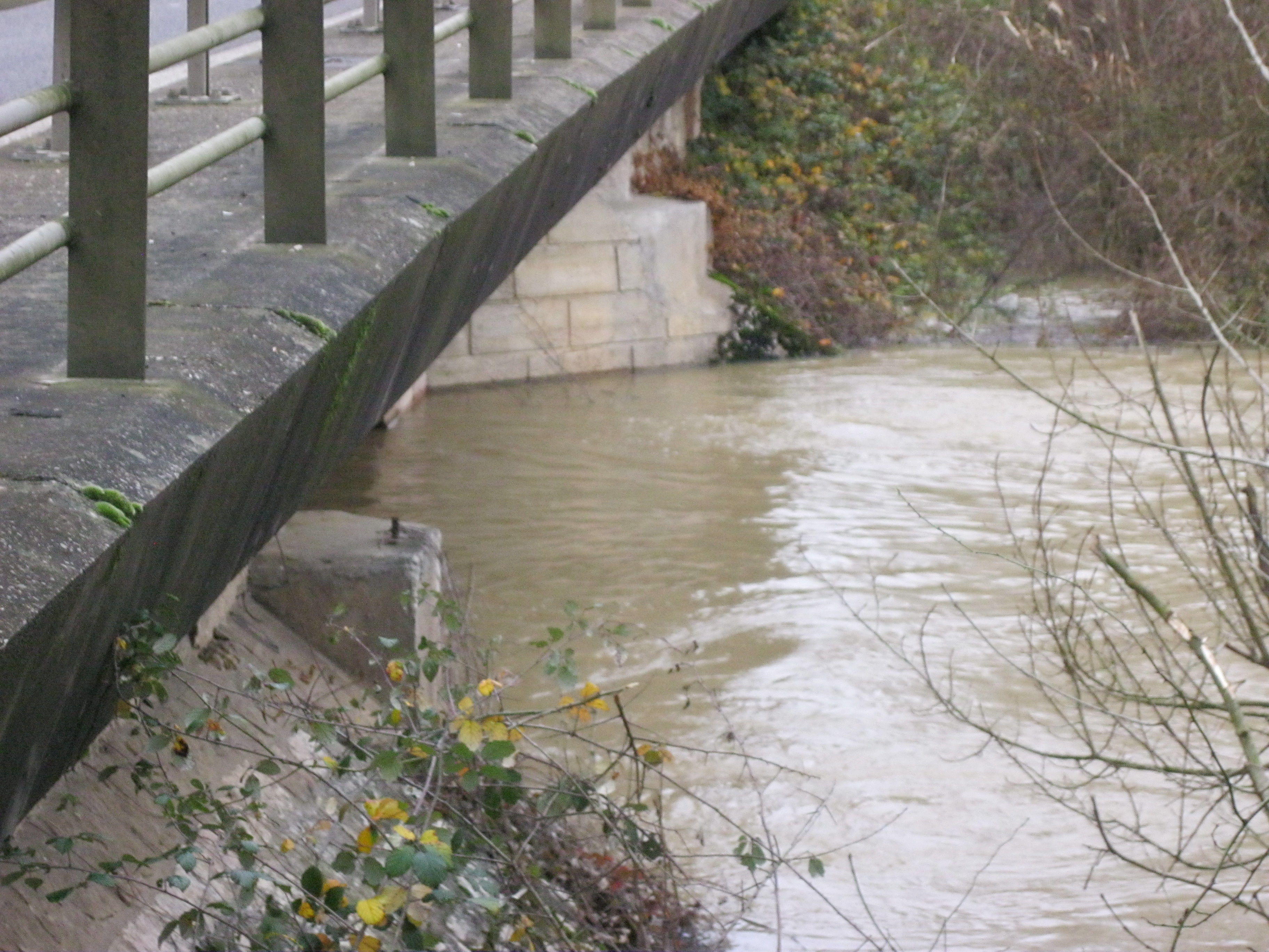 Crue de la Sâne en 2012 à La Genête