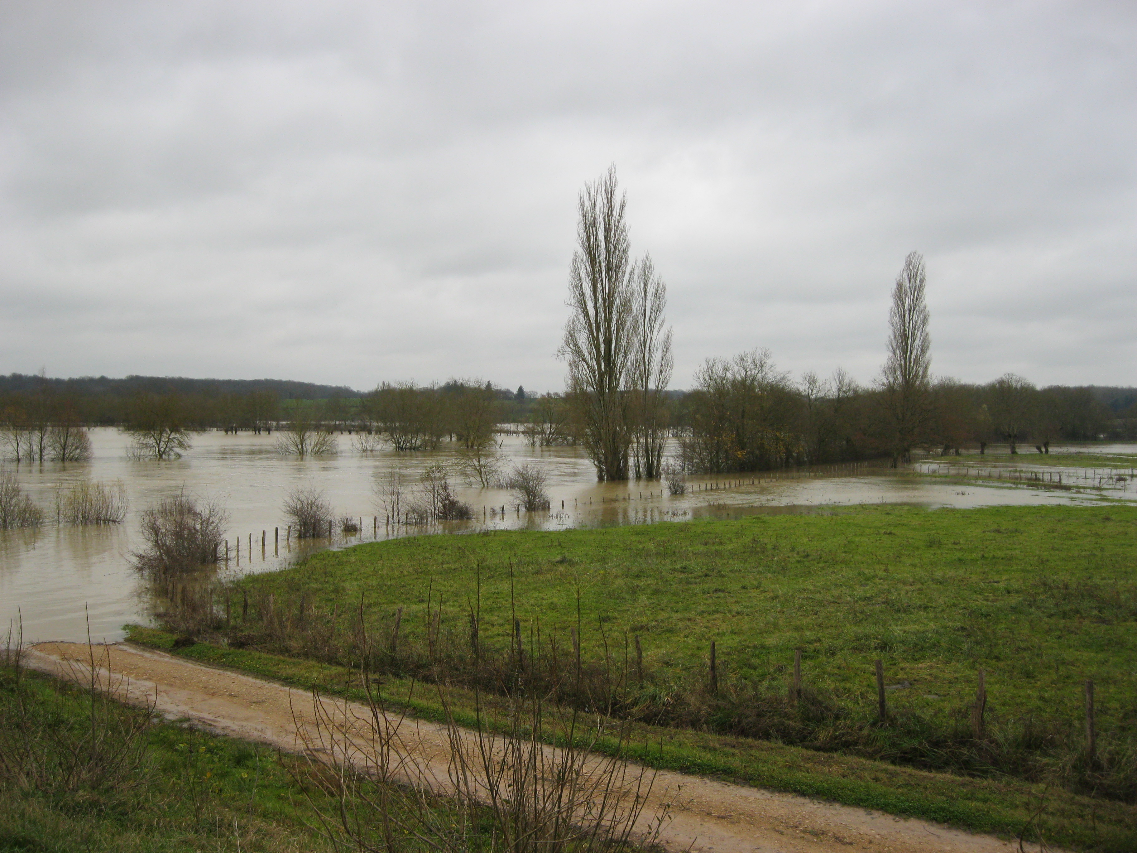 Crue de la Seille en 2012 à Ratenelle