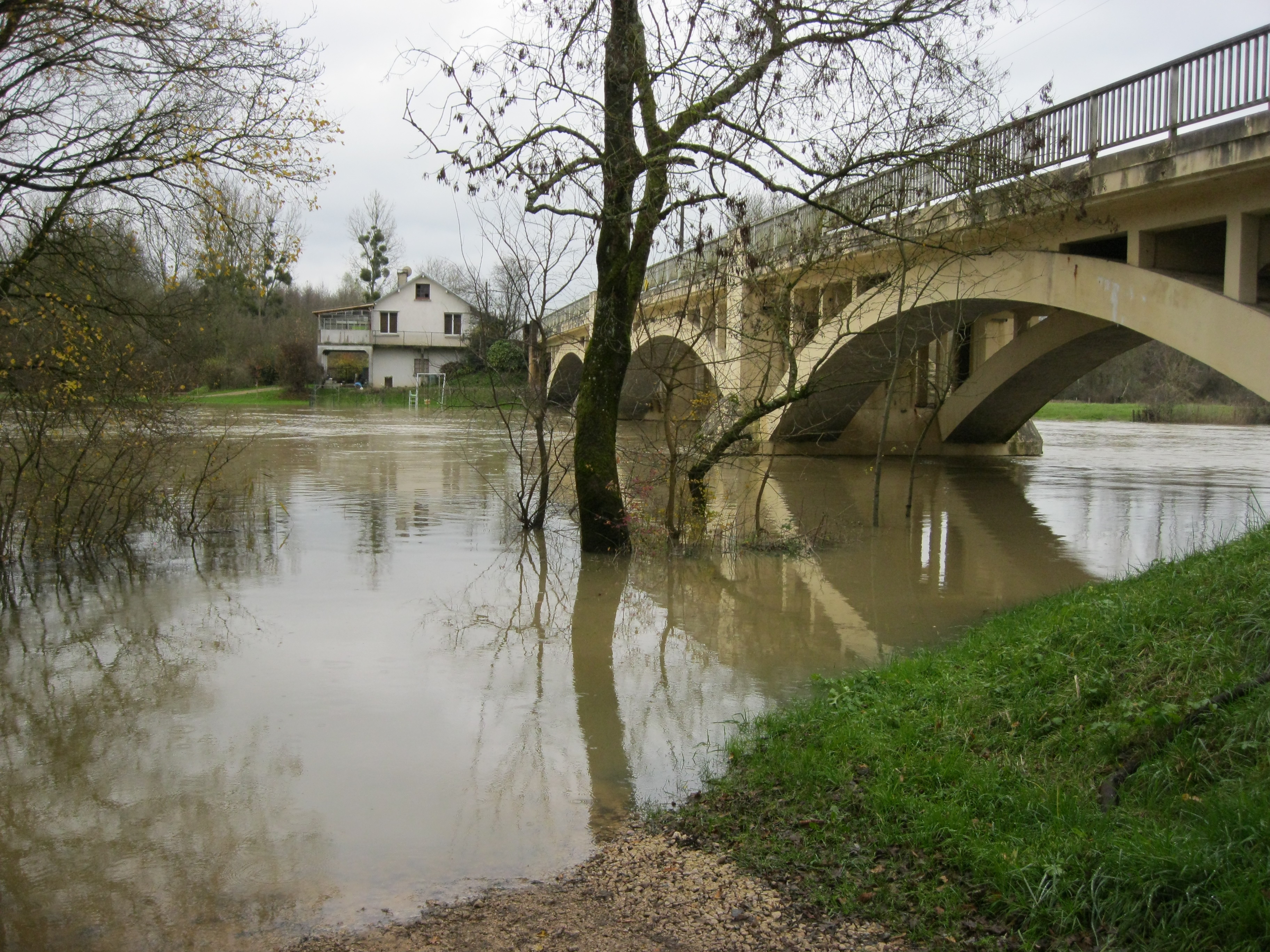 Crue de la Seille en 2012 à La Truchère