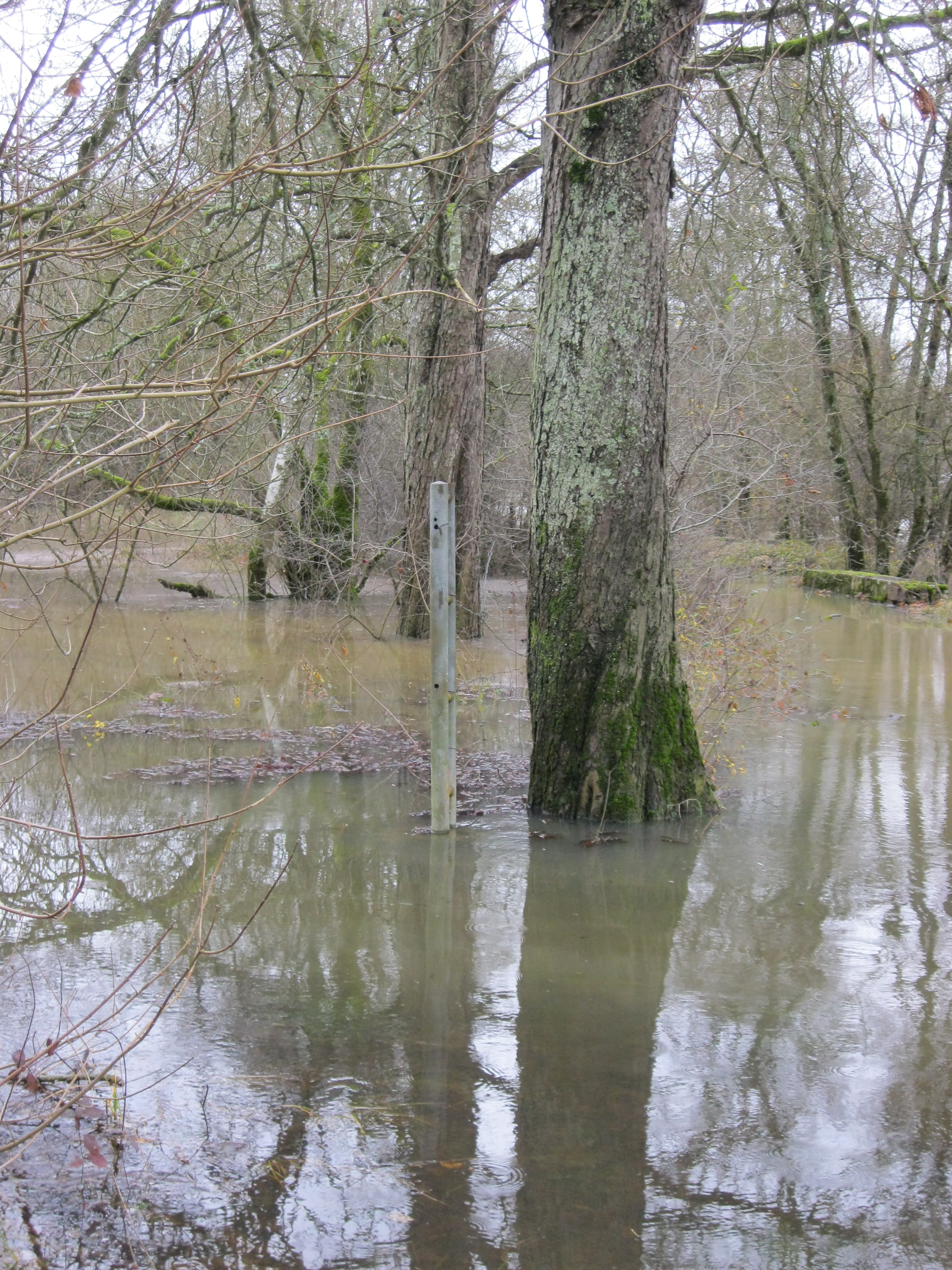 Crue de la Seille en 2012 à La Truchère