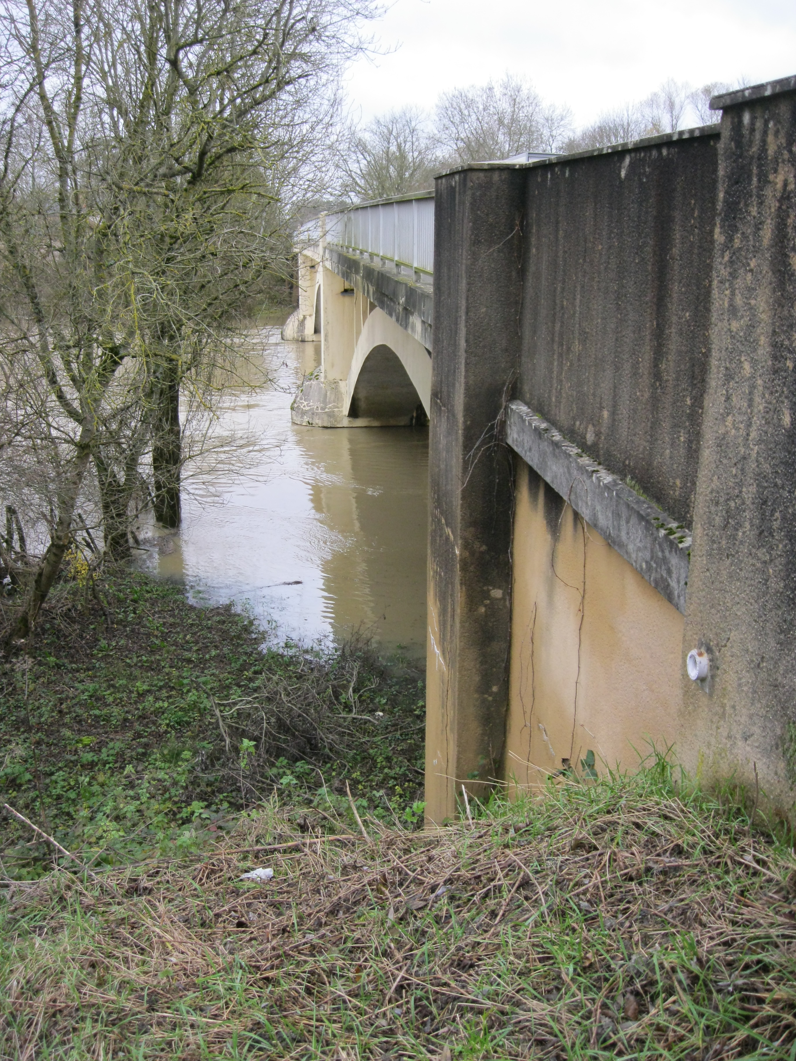 Crue de la Seille en 2012 à Sermoyer