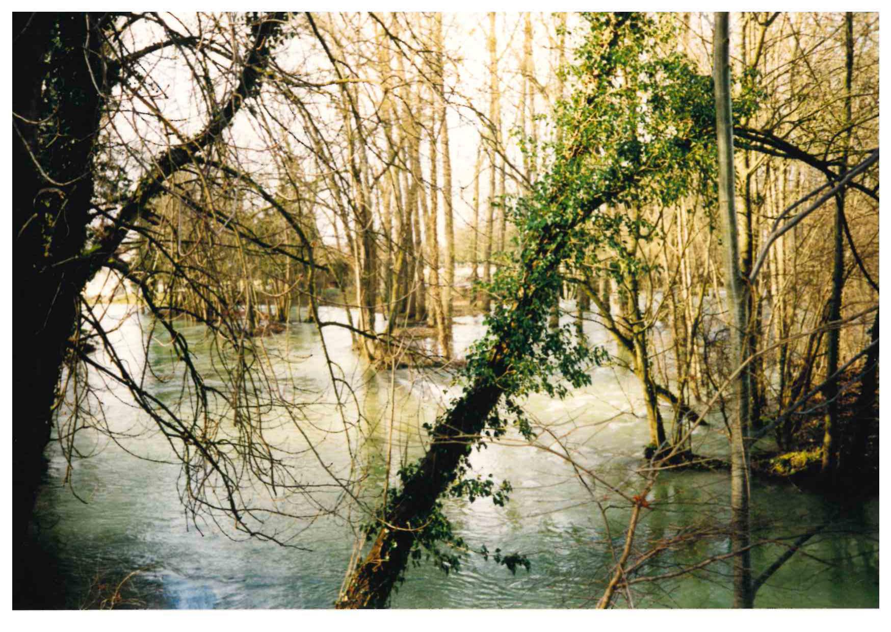 Photo de la crue de la Seine à Châtillon sur Seine, en Côte d'Or, en février 1999.