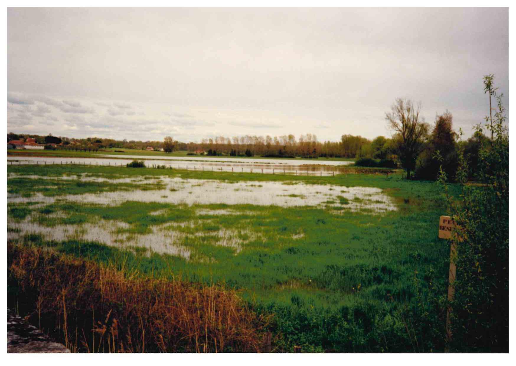 Crue de l'Armance , en avril 1998, à Beugnon D34, dans l'Yonne