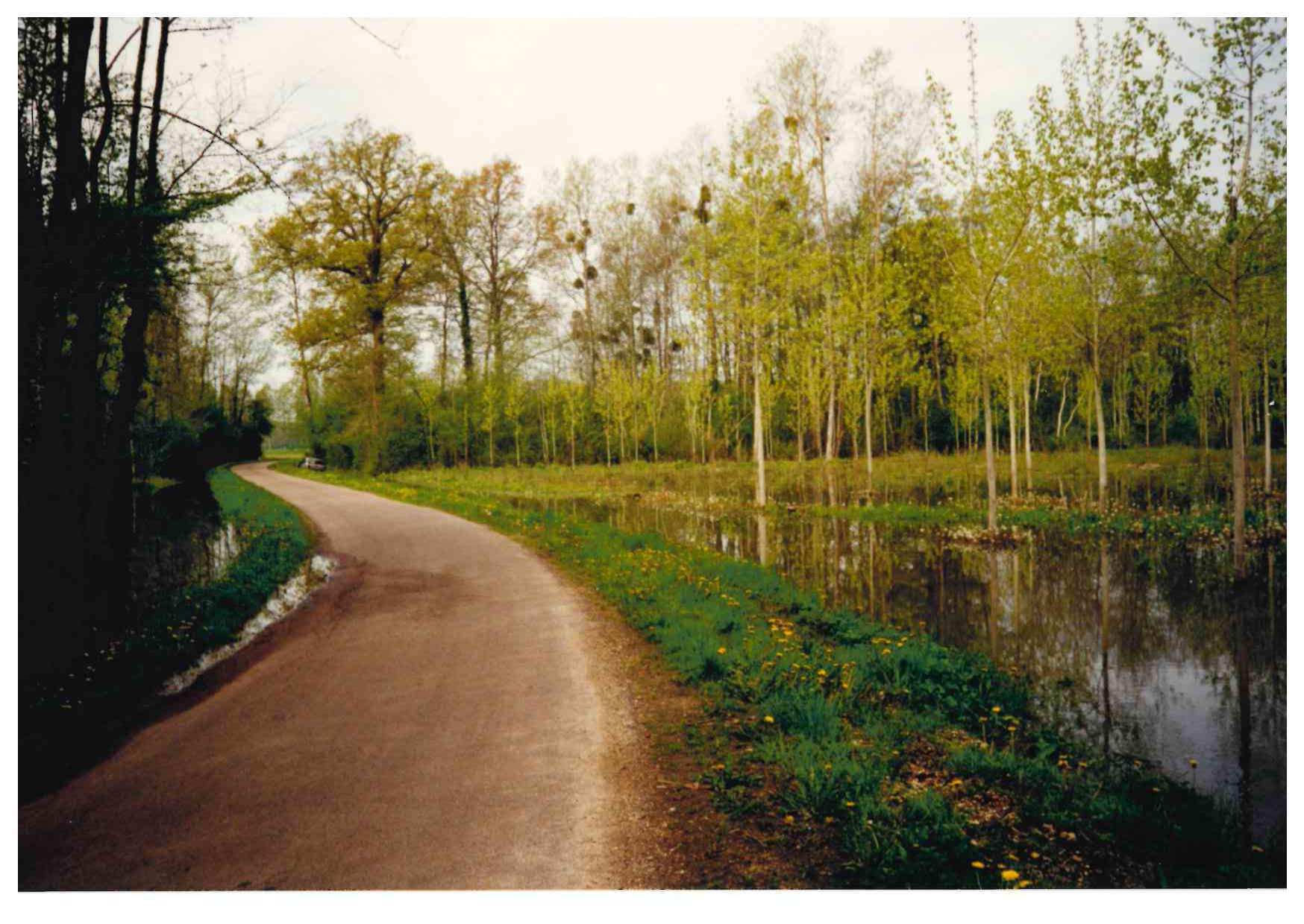 Crue de l'Armance, en avril 1998, à la limite de Germigny et Saint Florentin lieu dit Grand-Champlandry; dans l'Yonne