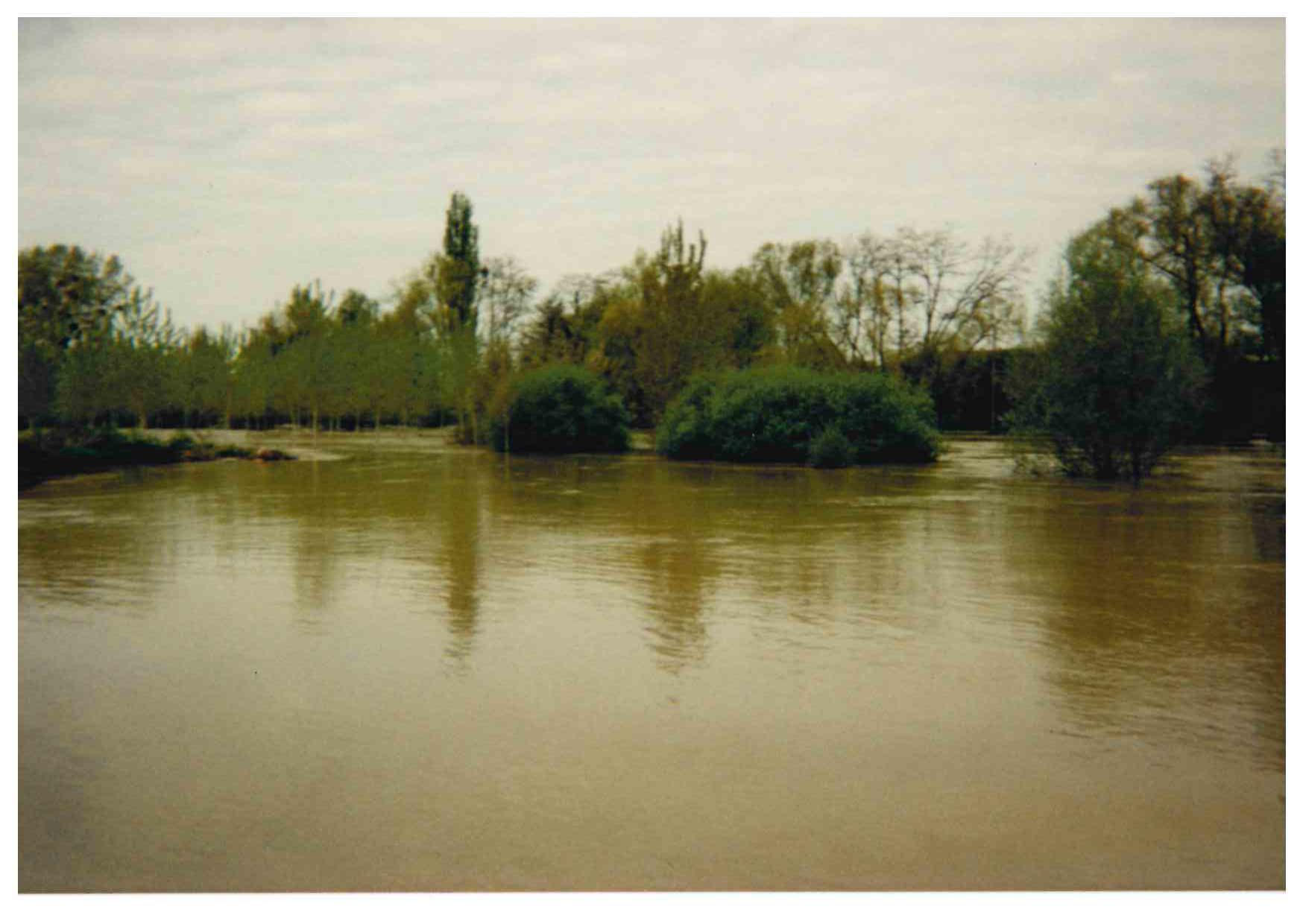 Crue de l'Armançon, en avril 1998, à Brienon sur Armançon, en aval du pont de la route d'Auxerre sur la rive gauche, dans l'Yonne