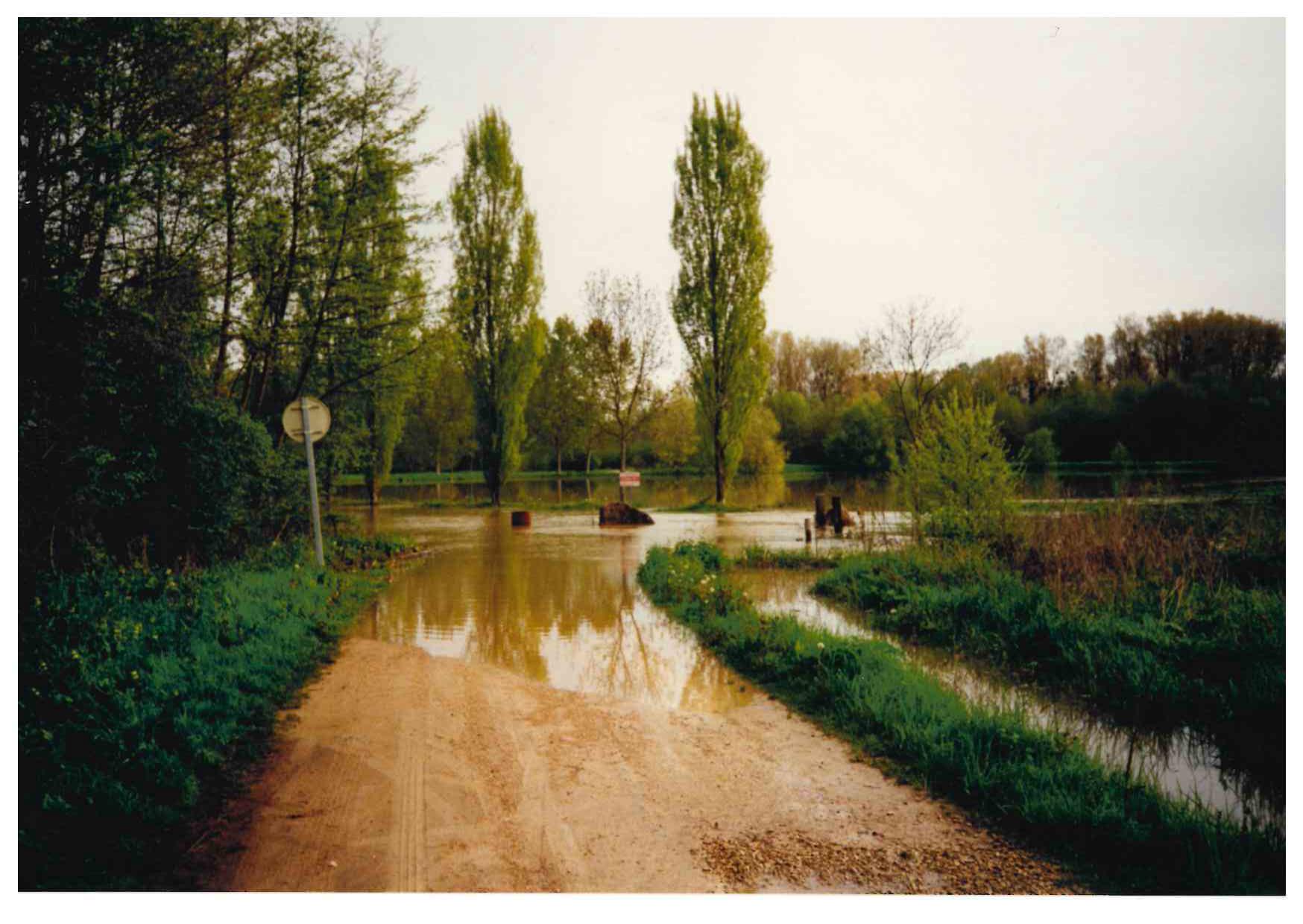 Crue du Serein en avril 1998 à Beaumont, chemin forestier, dans l'Yonne