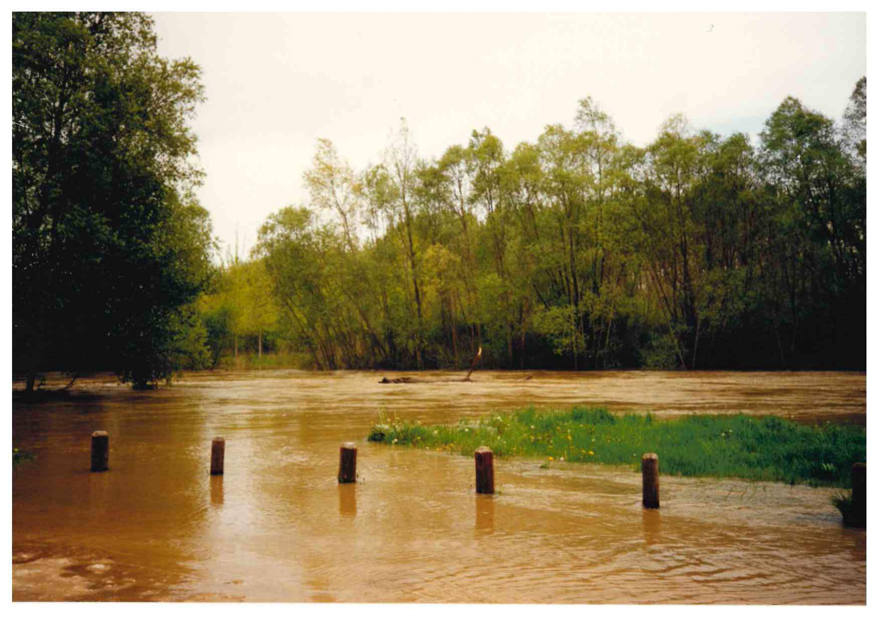 Crue du Serein en avril 1998 à Beaumont, chemin forestier, dans l'Yonne