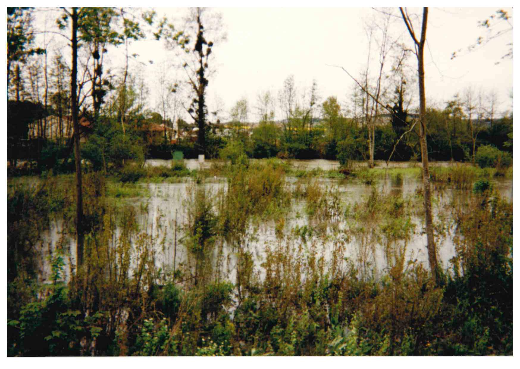 Crue du Serein en avril 1998 à Chablis, D 91A, dans l'Yonne