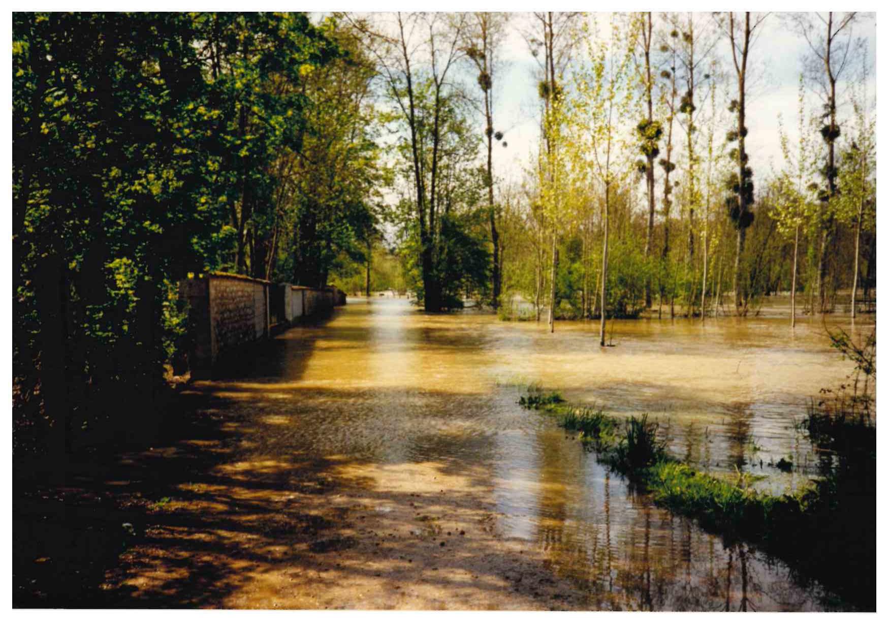 Crue du Serein en avril 1998 à Maligny, D 35 rue auxerroise, dans l'Yonne