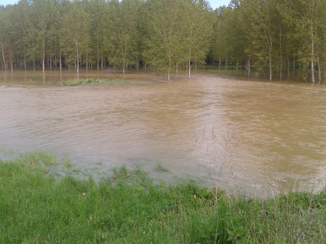 Crue du Serein, en mai 2013, à Beaumont, pont sur la RD 5, dans l'Yonne