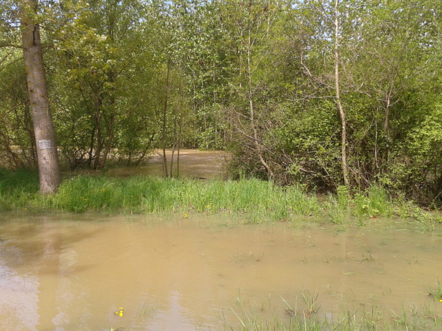 Crue du Serein, en mai 2013, à Beaumont, pont sur la RD 5, dans l'Yonne