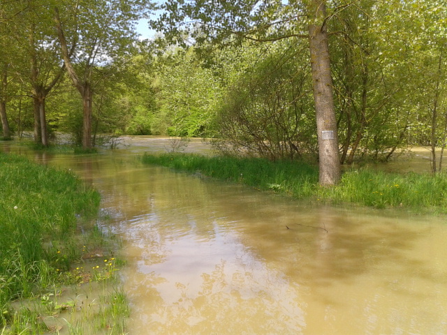 Crue du Serein, en mai 2013, à Beaumont, pont sur la RD 5, dans l'Yonne