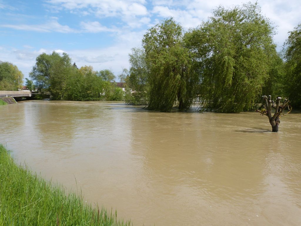 Crue de l'Armançon, en mai 2013, à Brienon sur Armançon, route d'Auxerre, D 84, rive gauche, dans l'Yonne