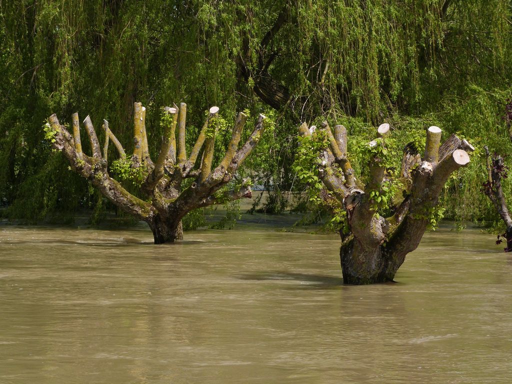 Crue de l'Armançon, en mai 2013, à Brienon sur Armançon, route d'Auxerre, RD 84, rive gauche, dans l'Yonne