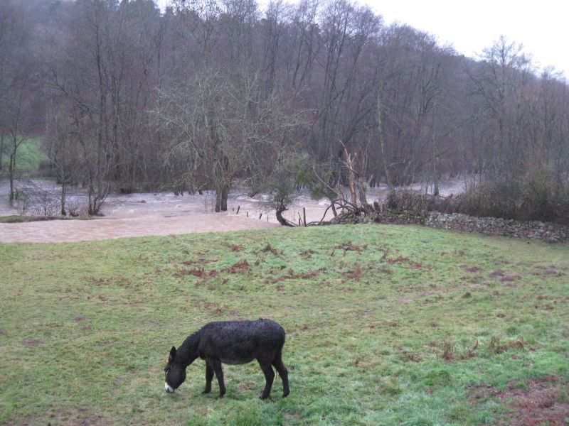 Crue du Cousin, en décembre 2010, à Avallon dans l'Yonne