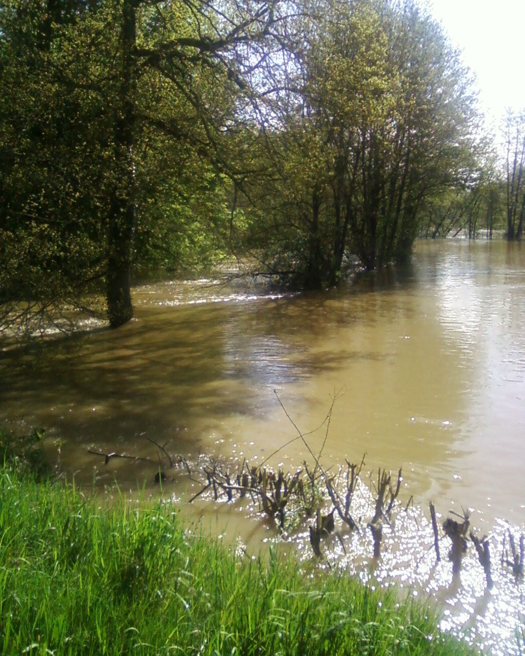 Crue du Serein, en mai 2013, à Dissangis dans l'Yonne