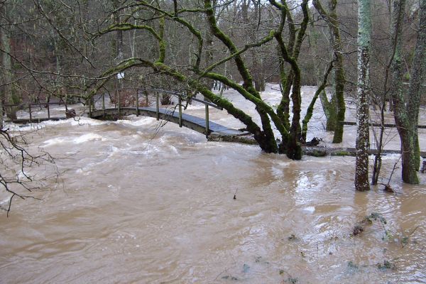 Crue du Cousin, en janvier 2004, à Avallon, pont des gardes, dans l'Yonne