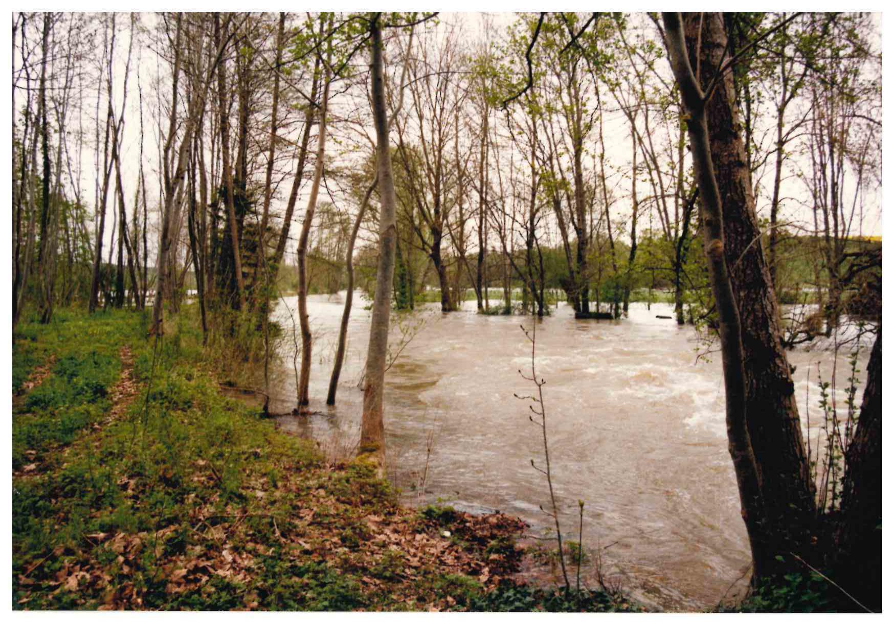 Crue de la Seine, en avril 1998, à Charrey sur Seine, RD 118, en Côte d'Or