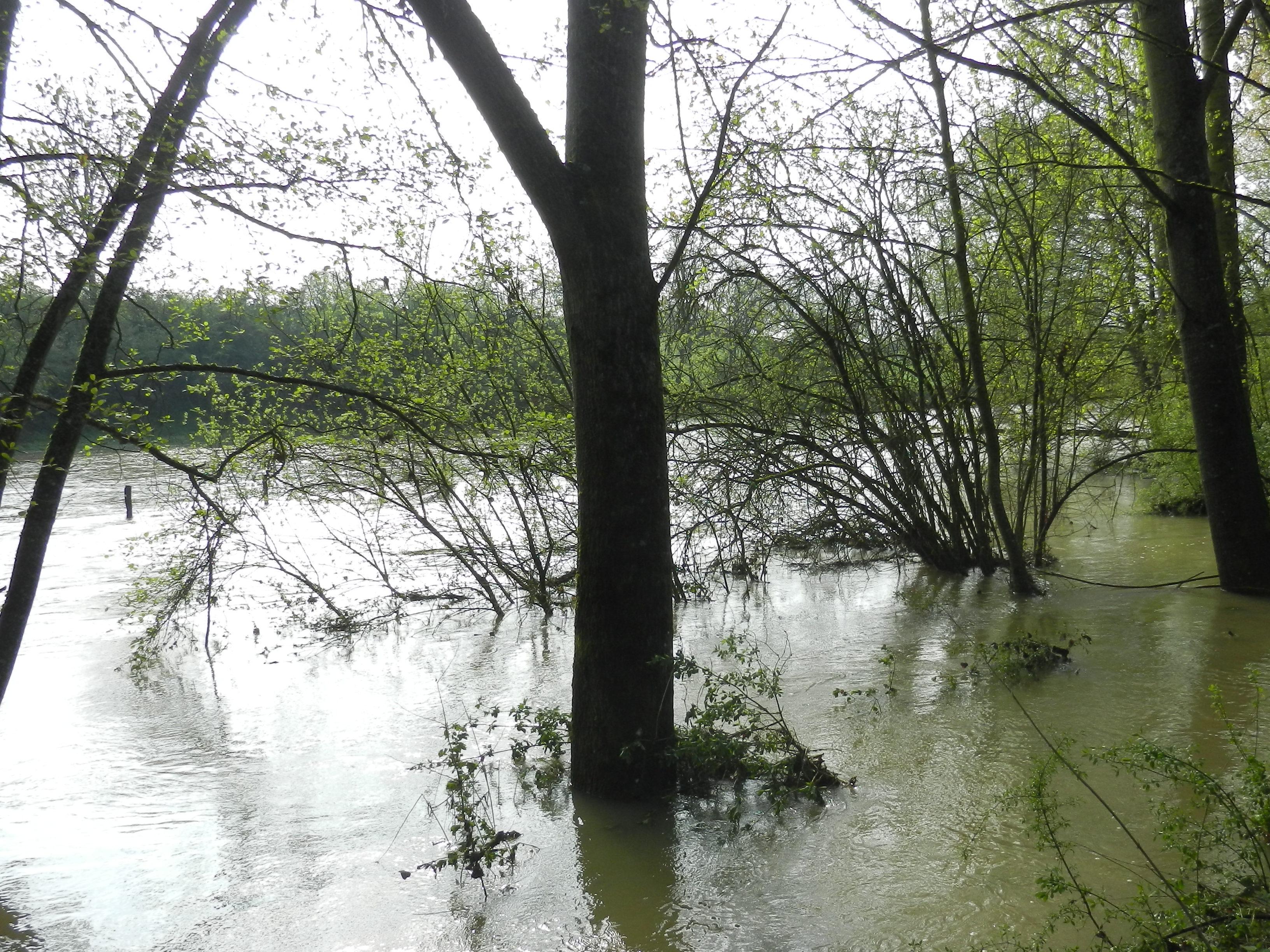 Crue de l'Armançon, en mai 2013, à Brianny en Côte d'Or