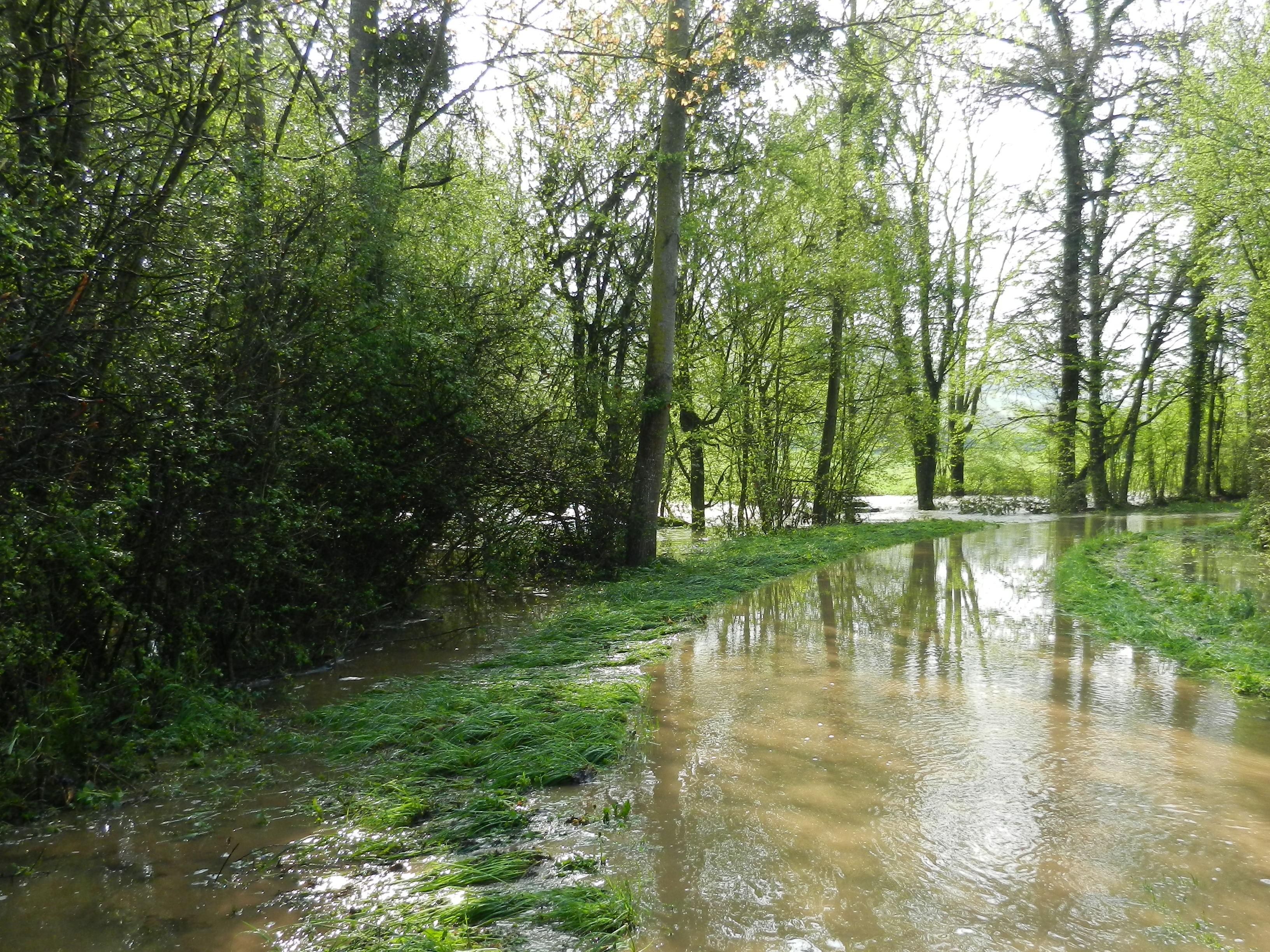 Crue de la brenne, en mai 2013, à Brain en Côte d'Or